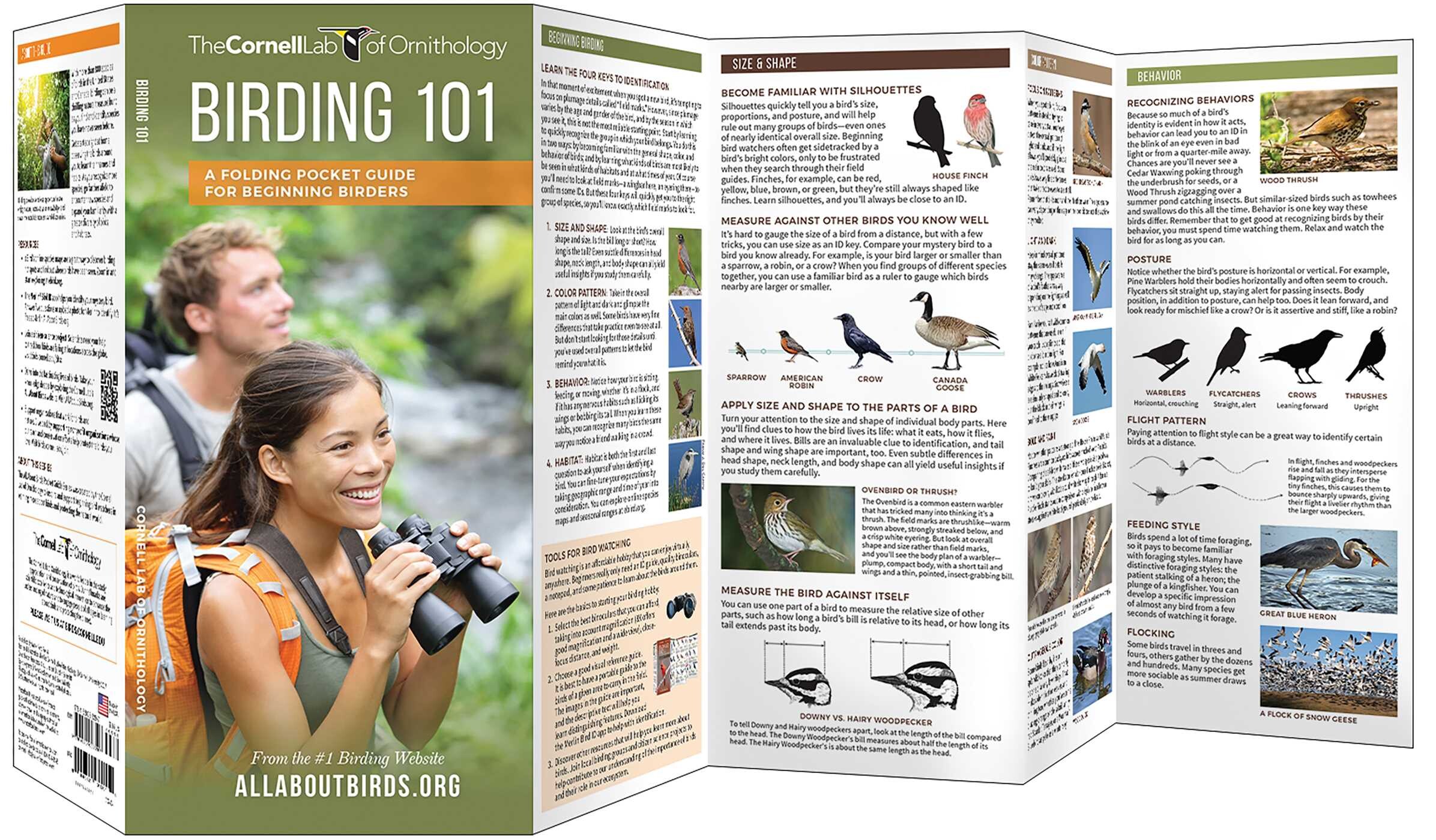 Birding 101