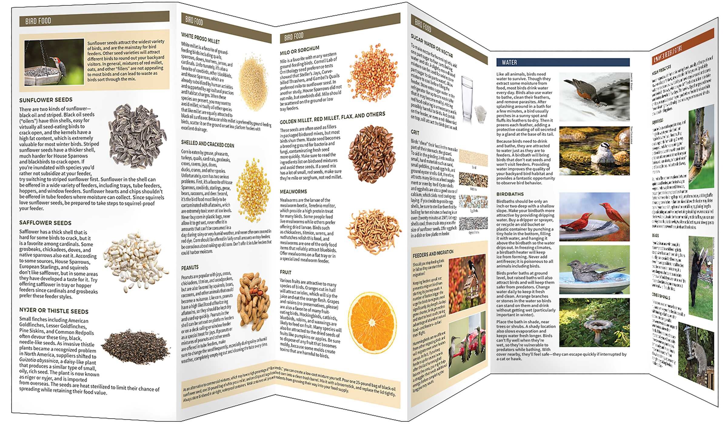 Bird Feeders and Food