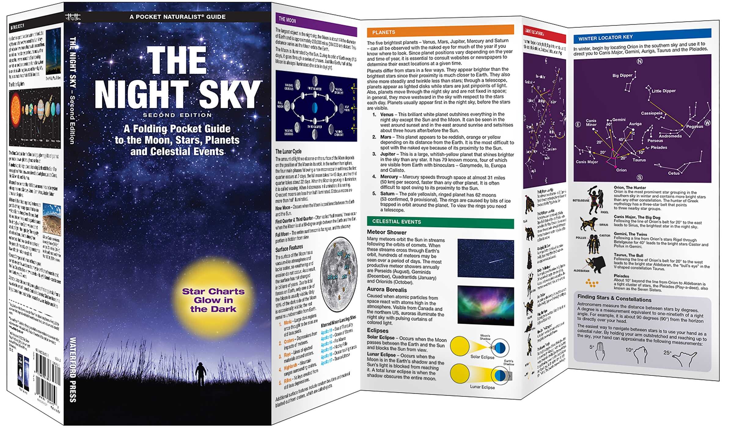 Night Sky