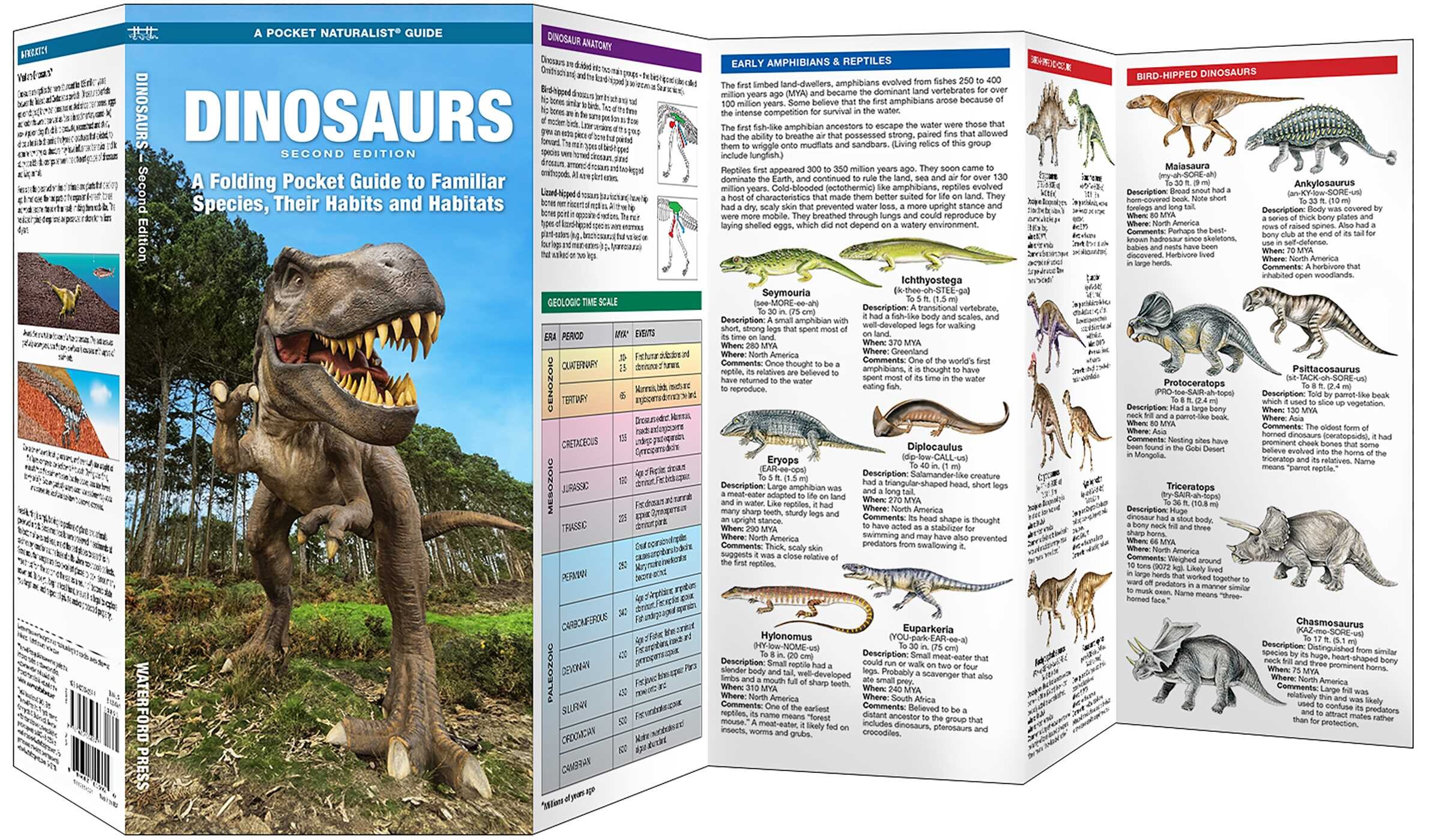 Dinosaurs, 2nd Ed