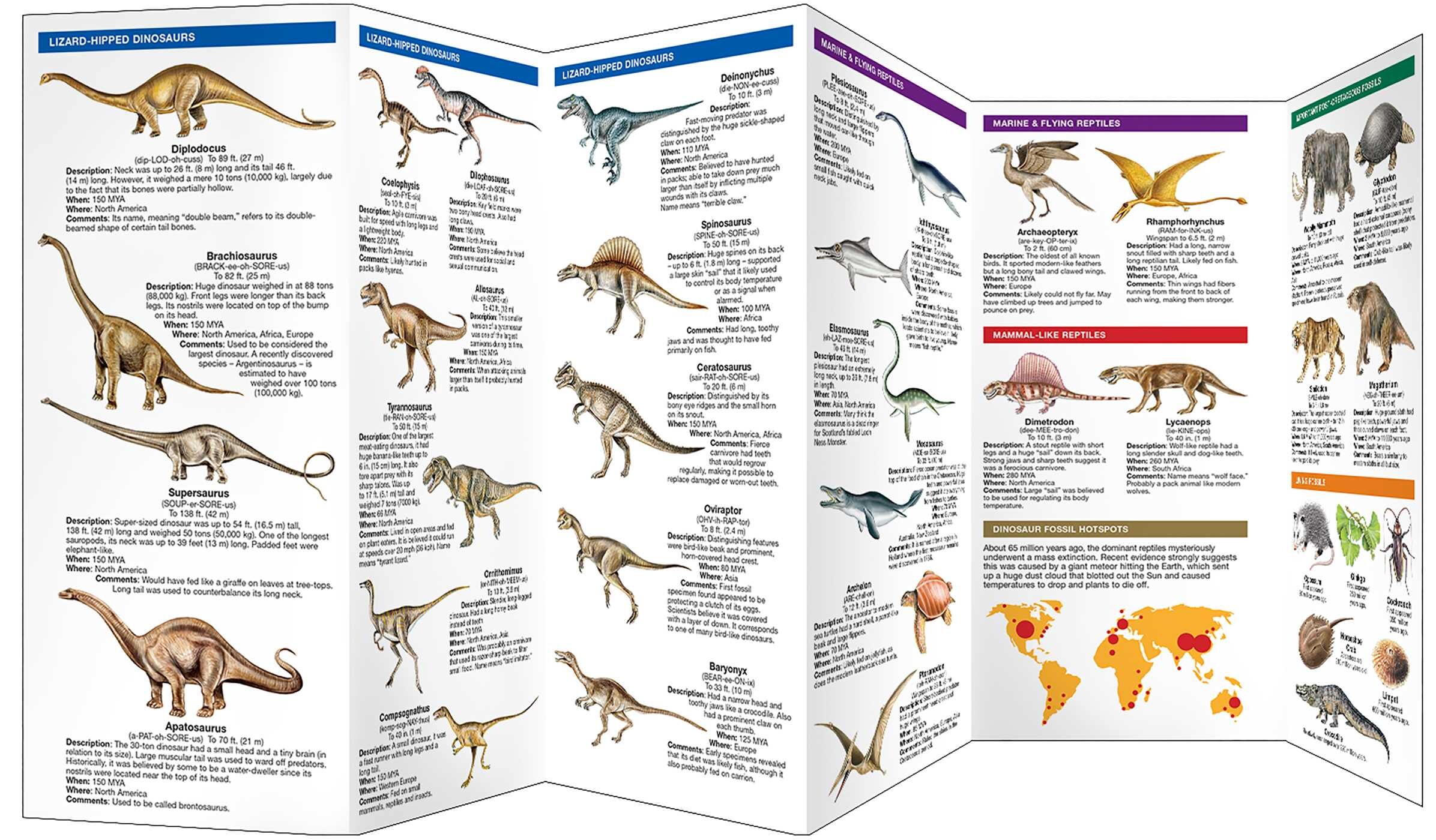 Dinosaurs, 2nd Ed