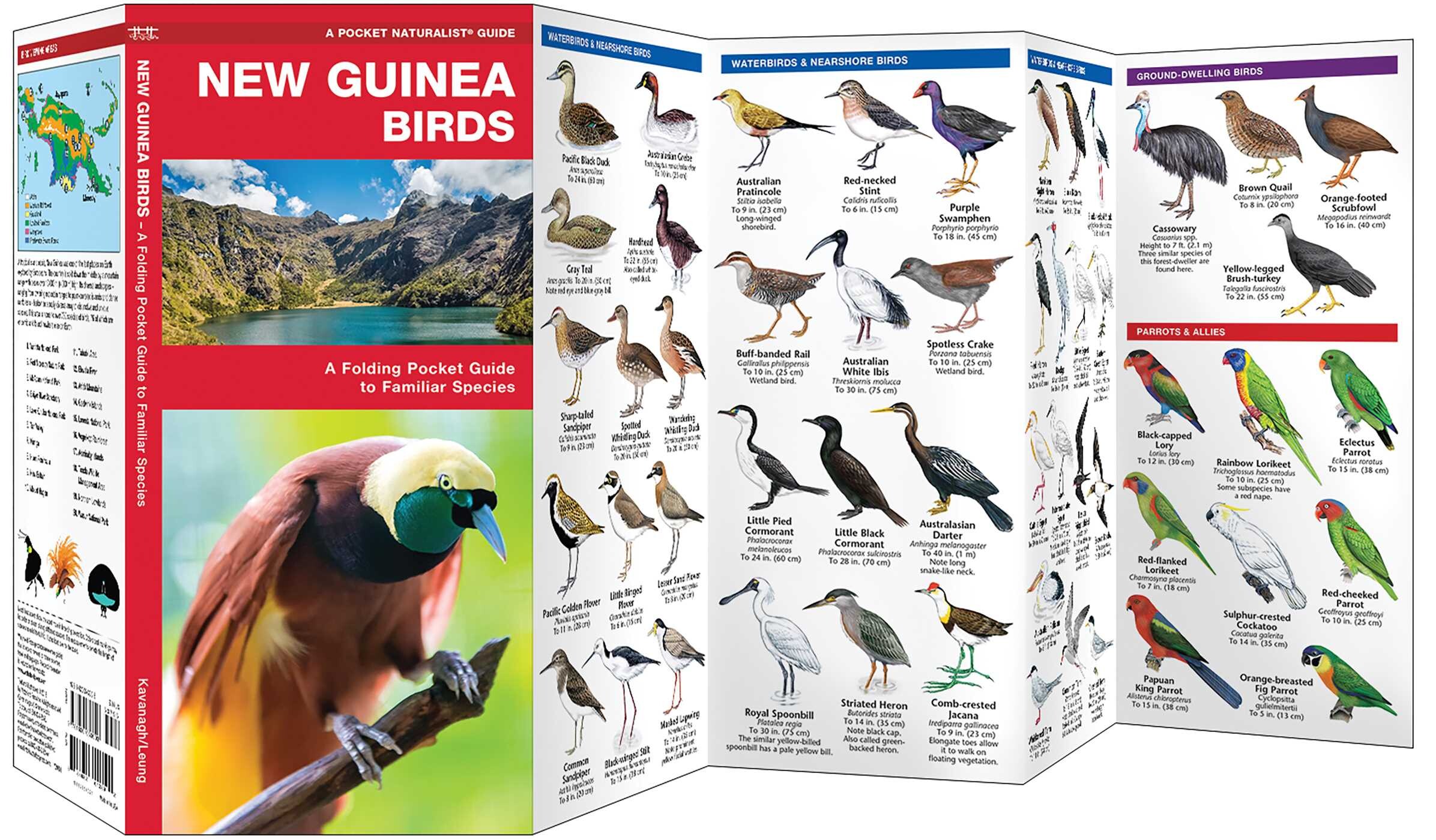 New Guinea Birds