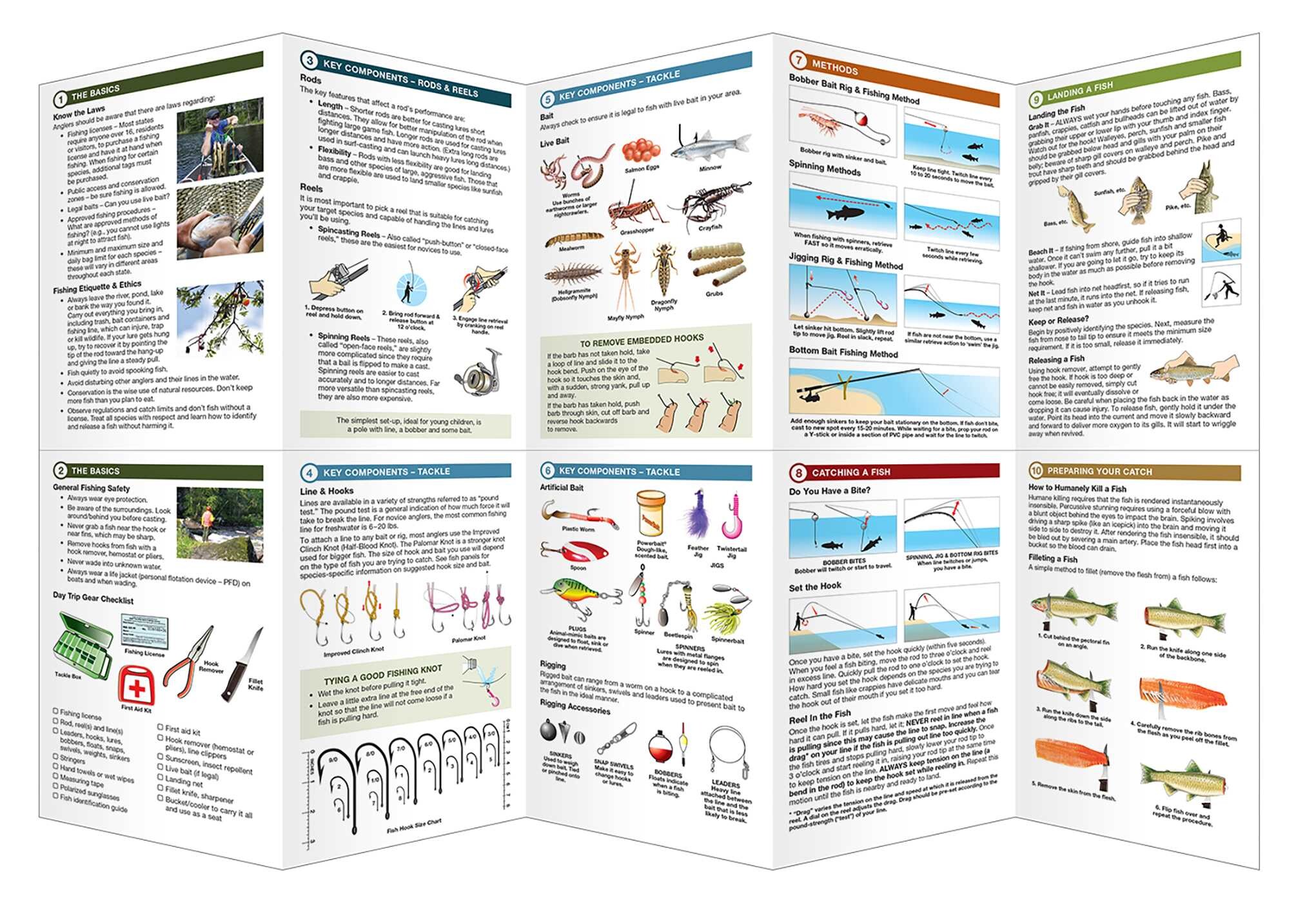 Freshwater Fishing Essentials
