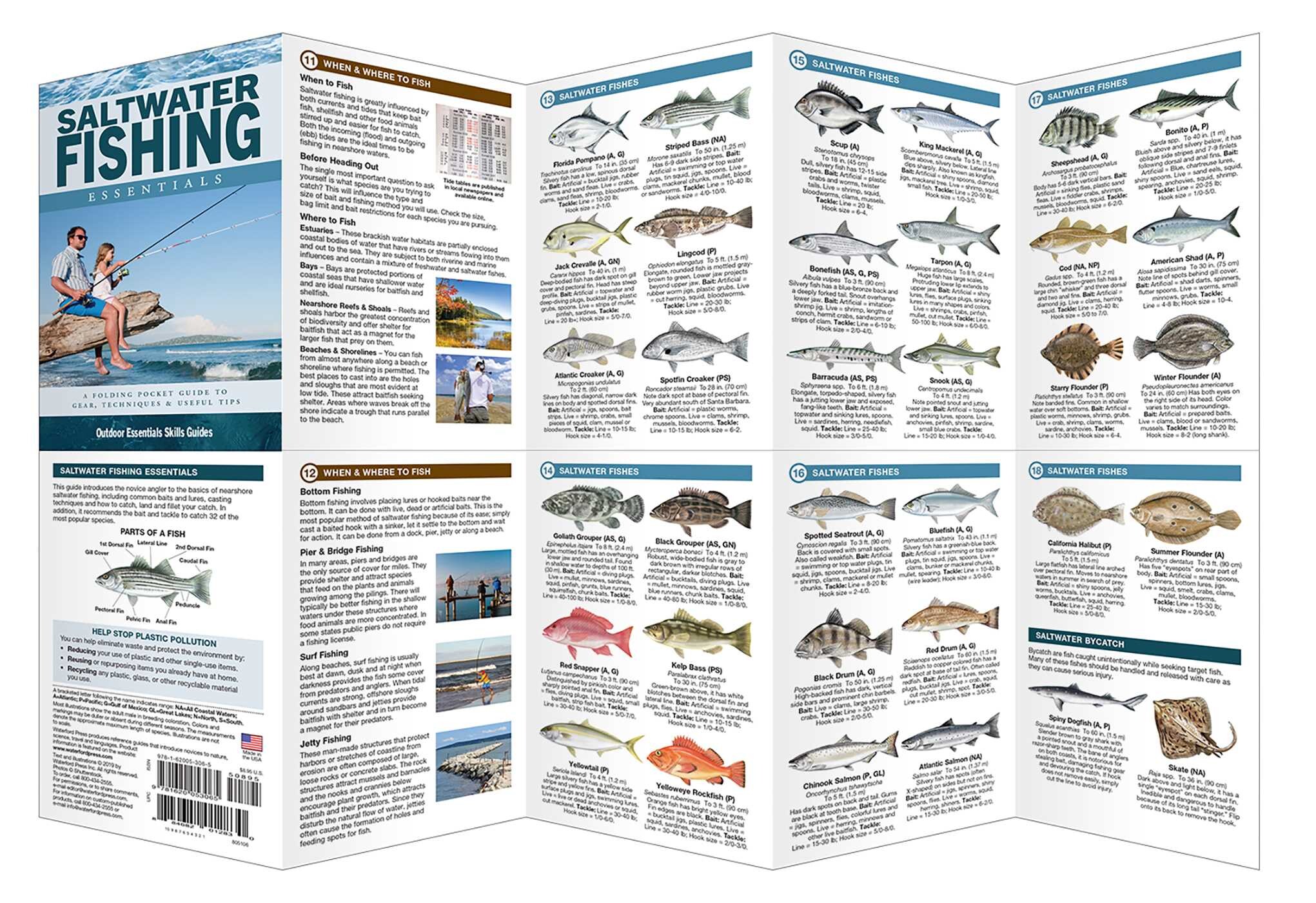 Saltwater Fishing Essentials