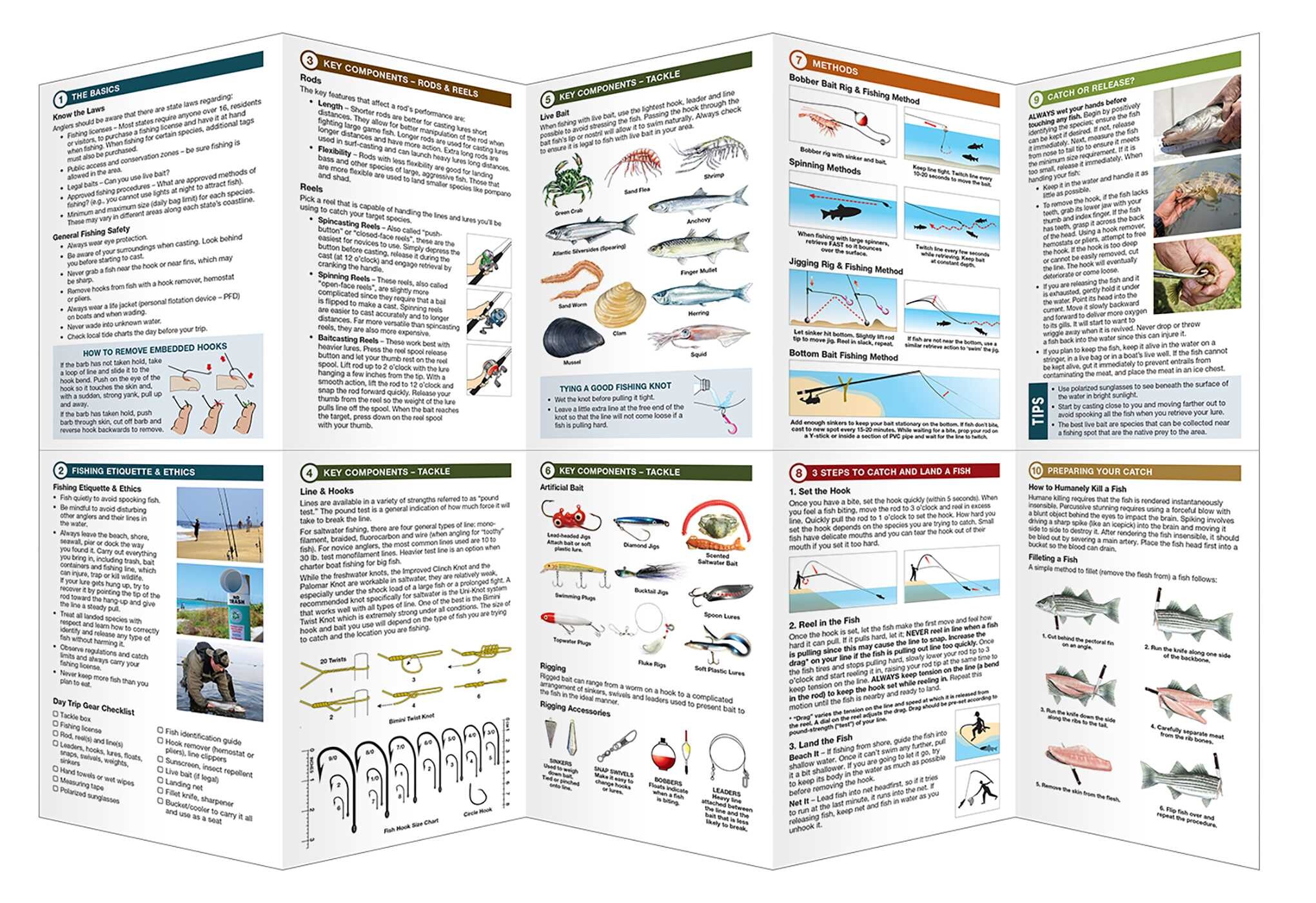 Saltwater Fishing Essentials