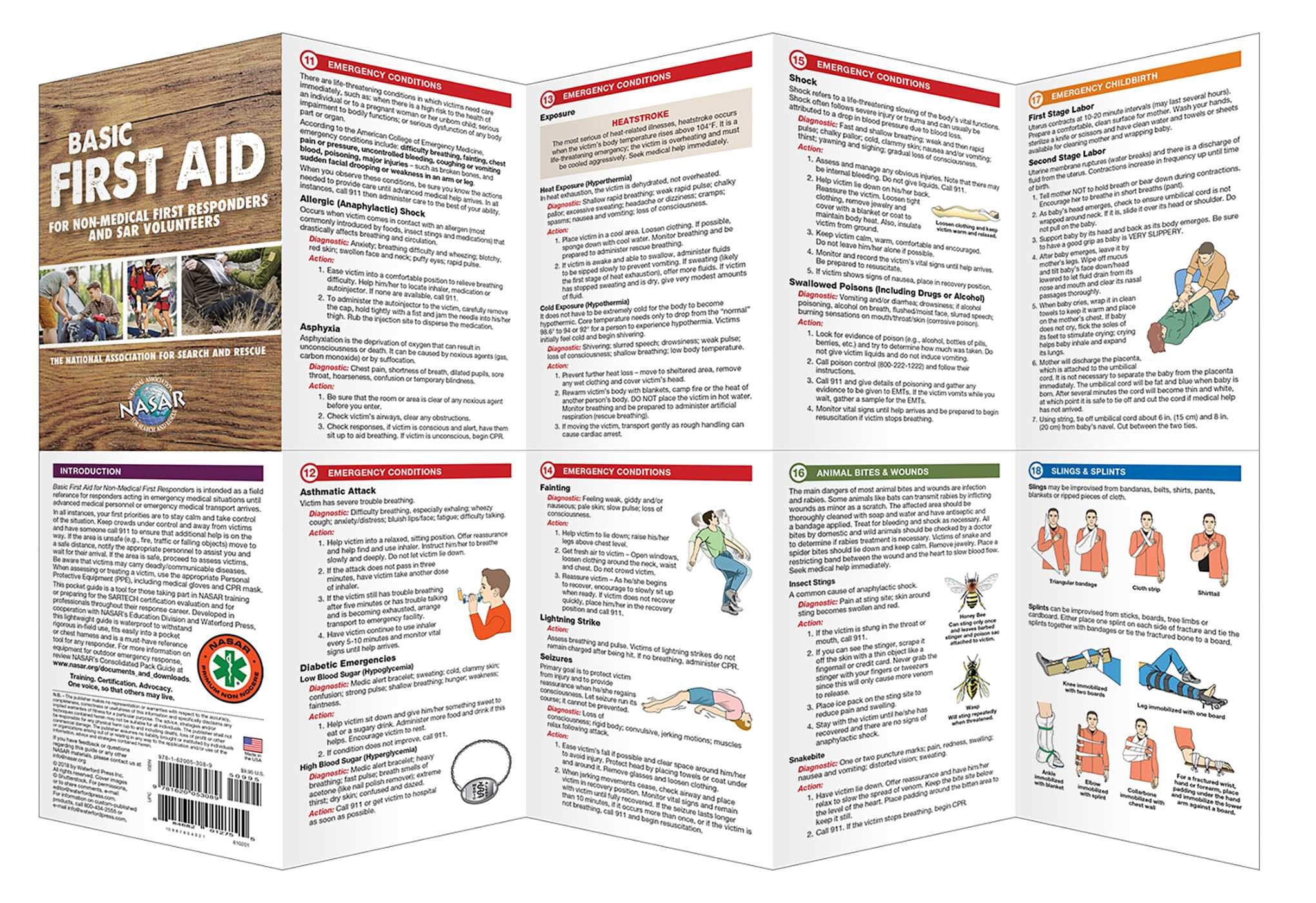 Basic First Aid for Non-Medical First Responders and SAR Volunteers ...