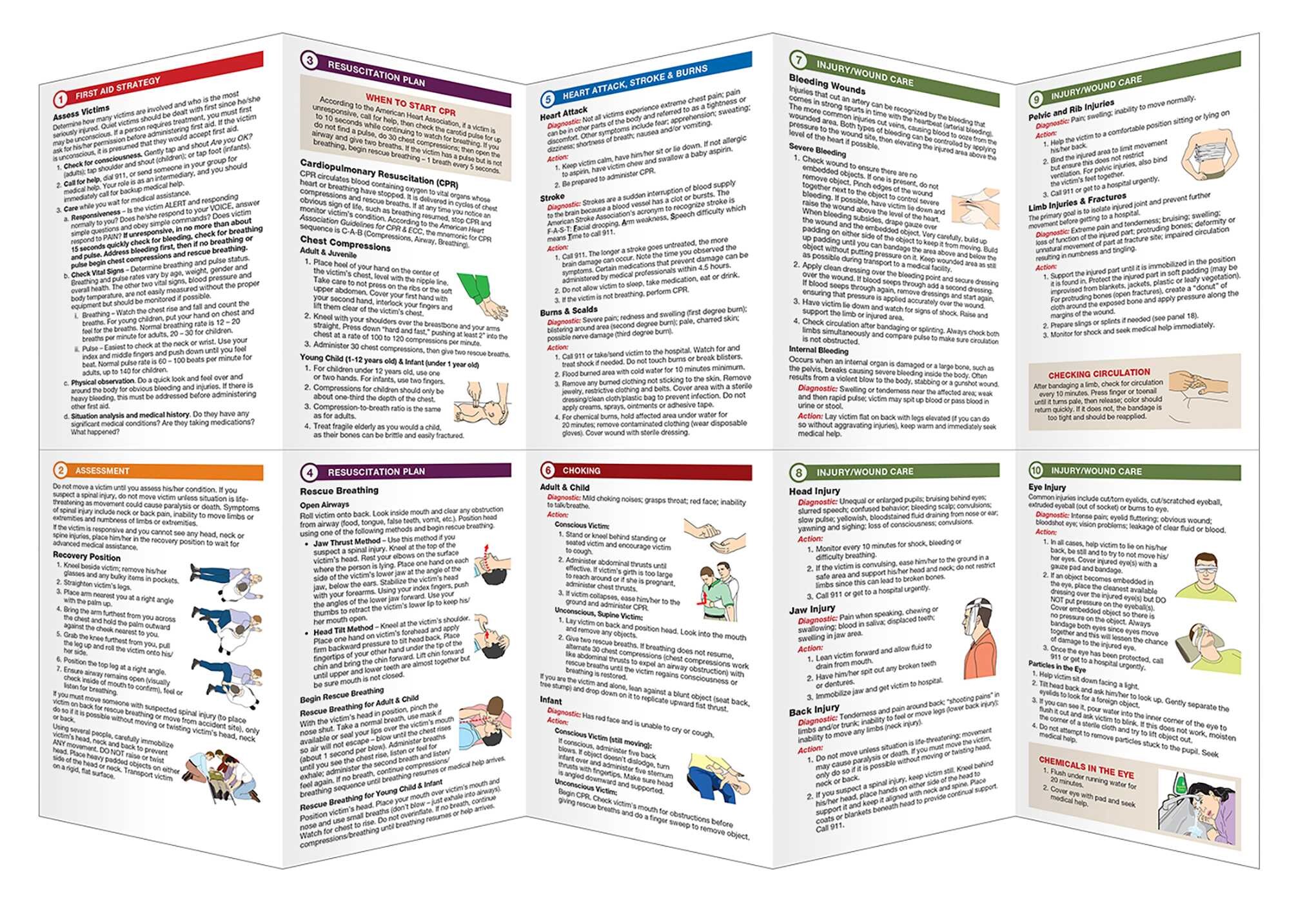 Basic First Aid for Non-Medical First Responders and SAR Volunteers ...