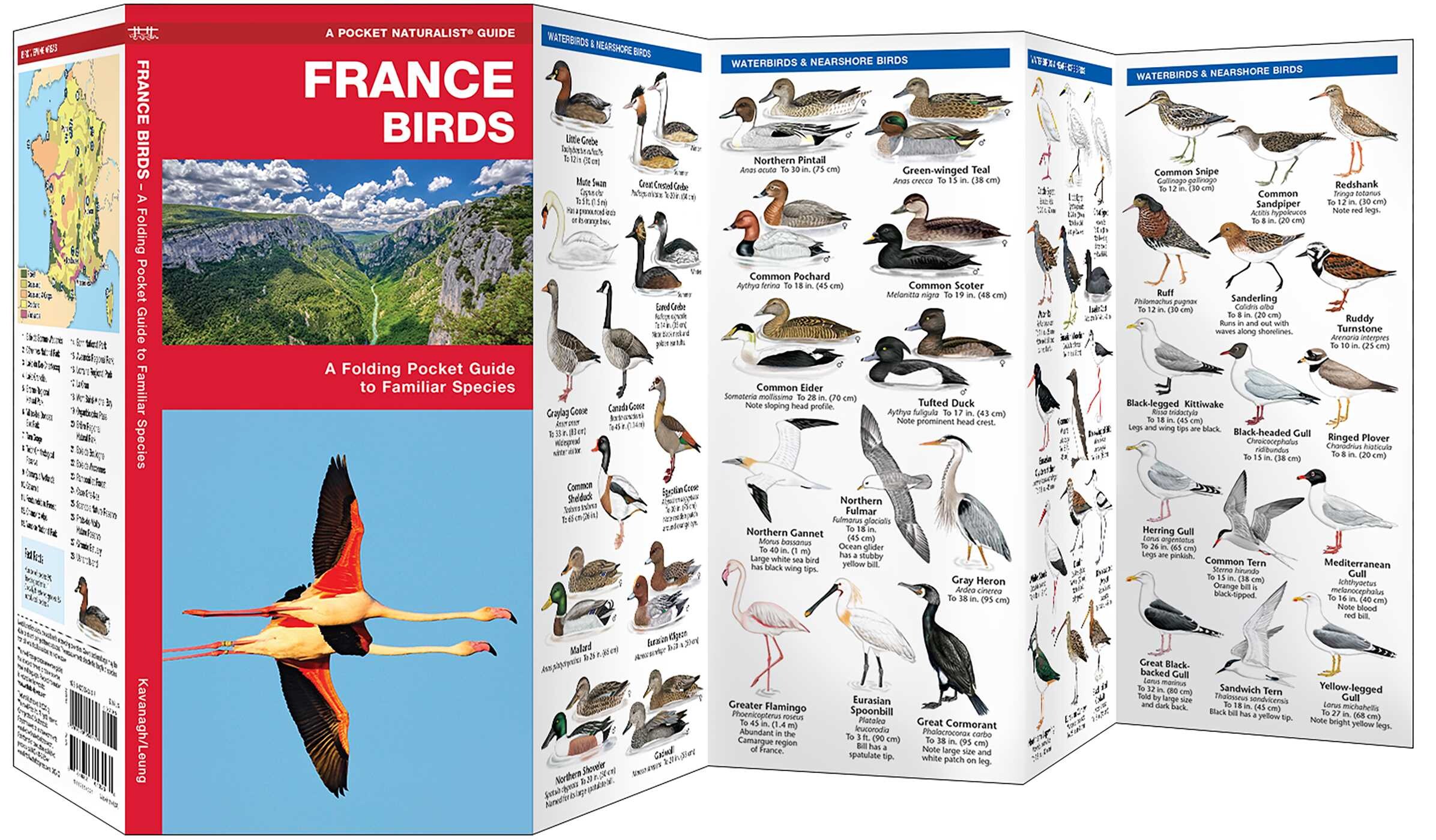 France Birds