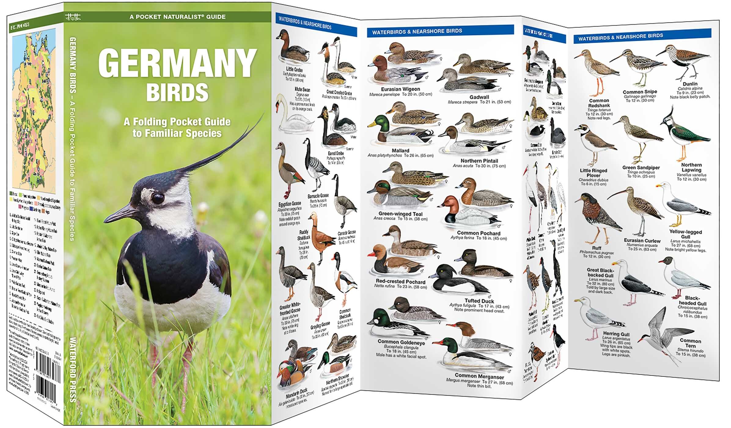 Germany Birds