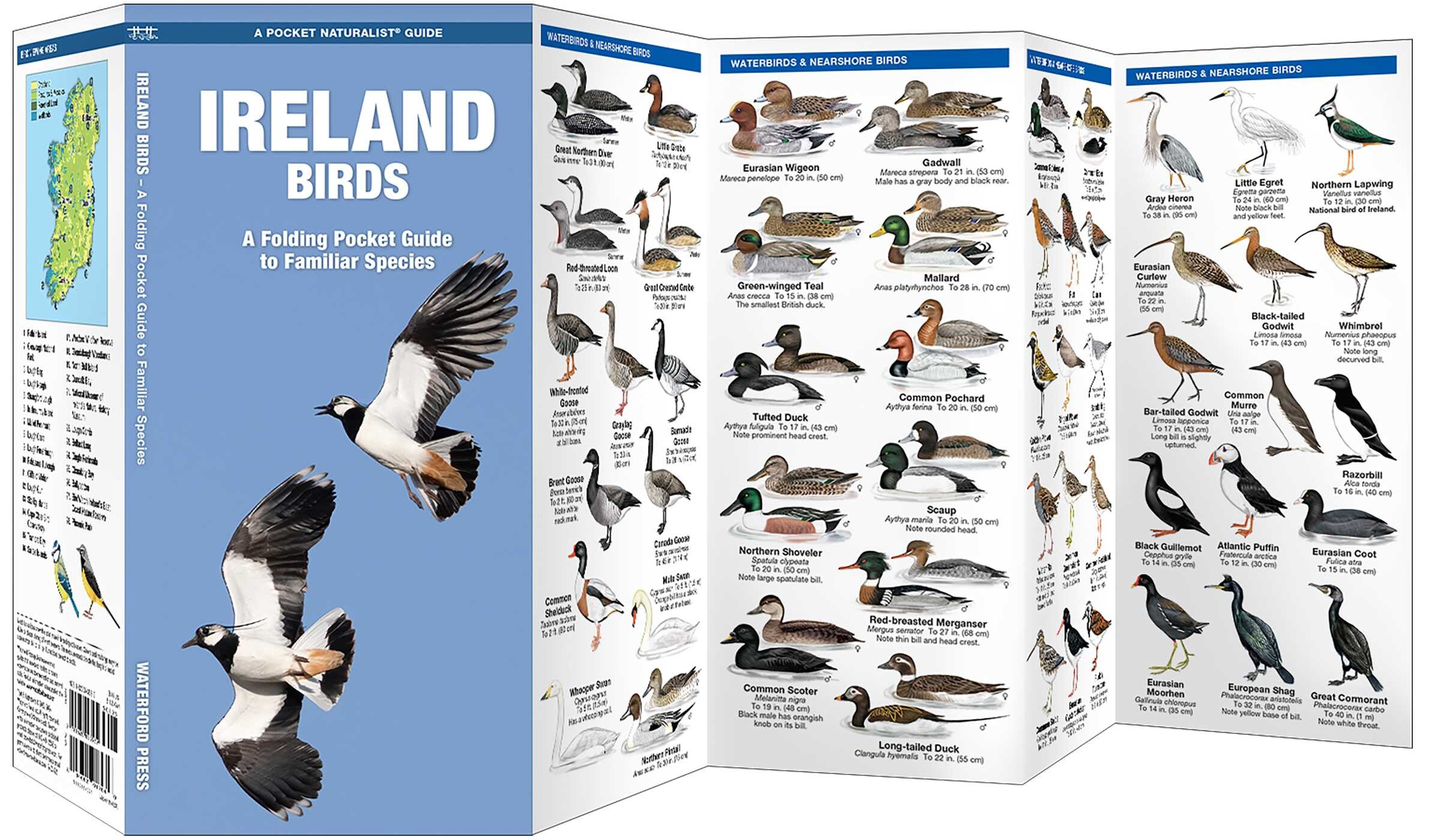 Ireland Birds
