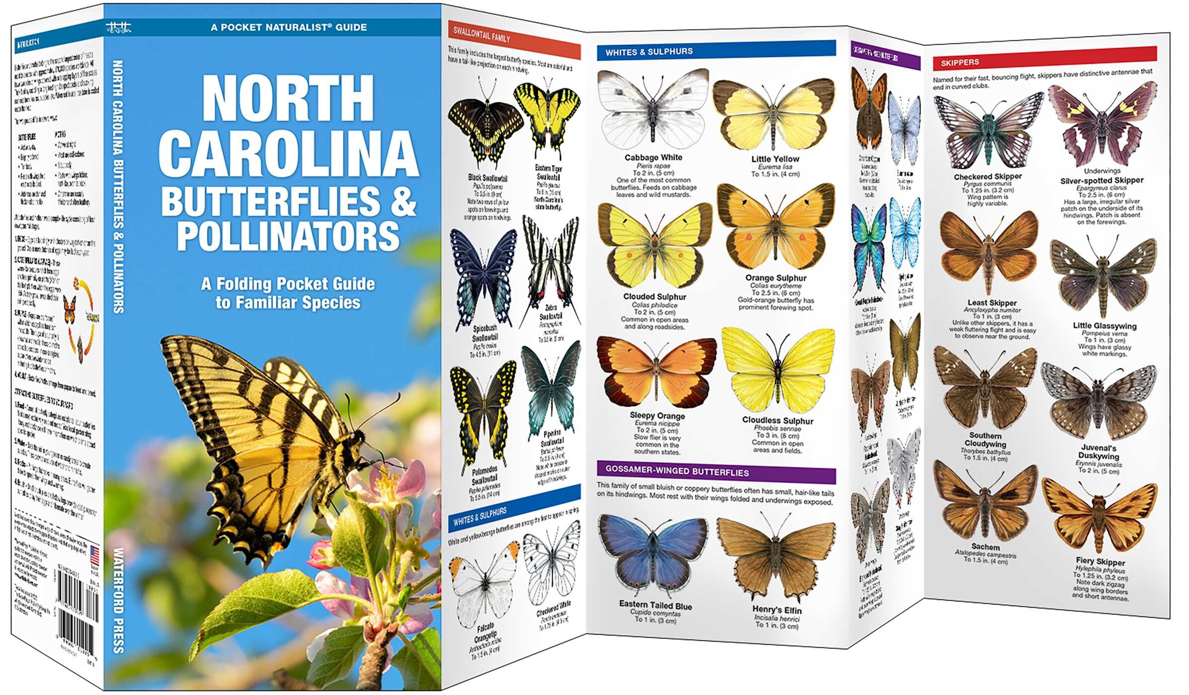 North Carolina Butterflies & Pollinators
