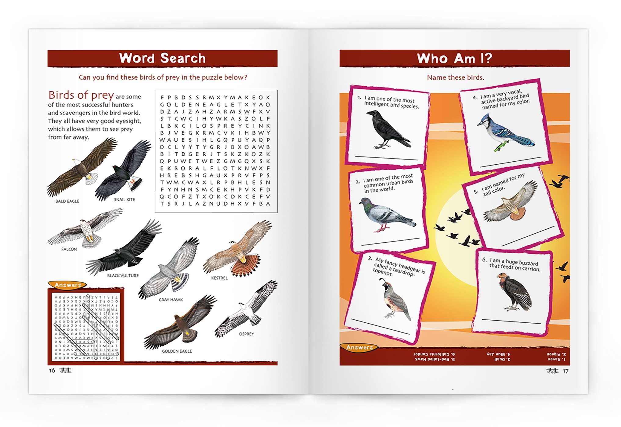Birds Nature Activity Book