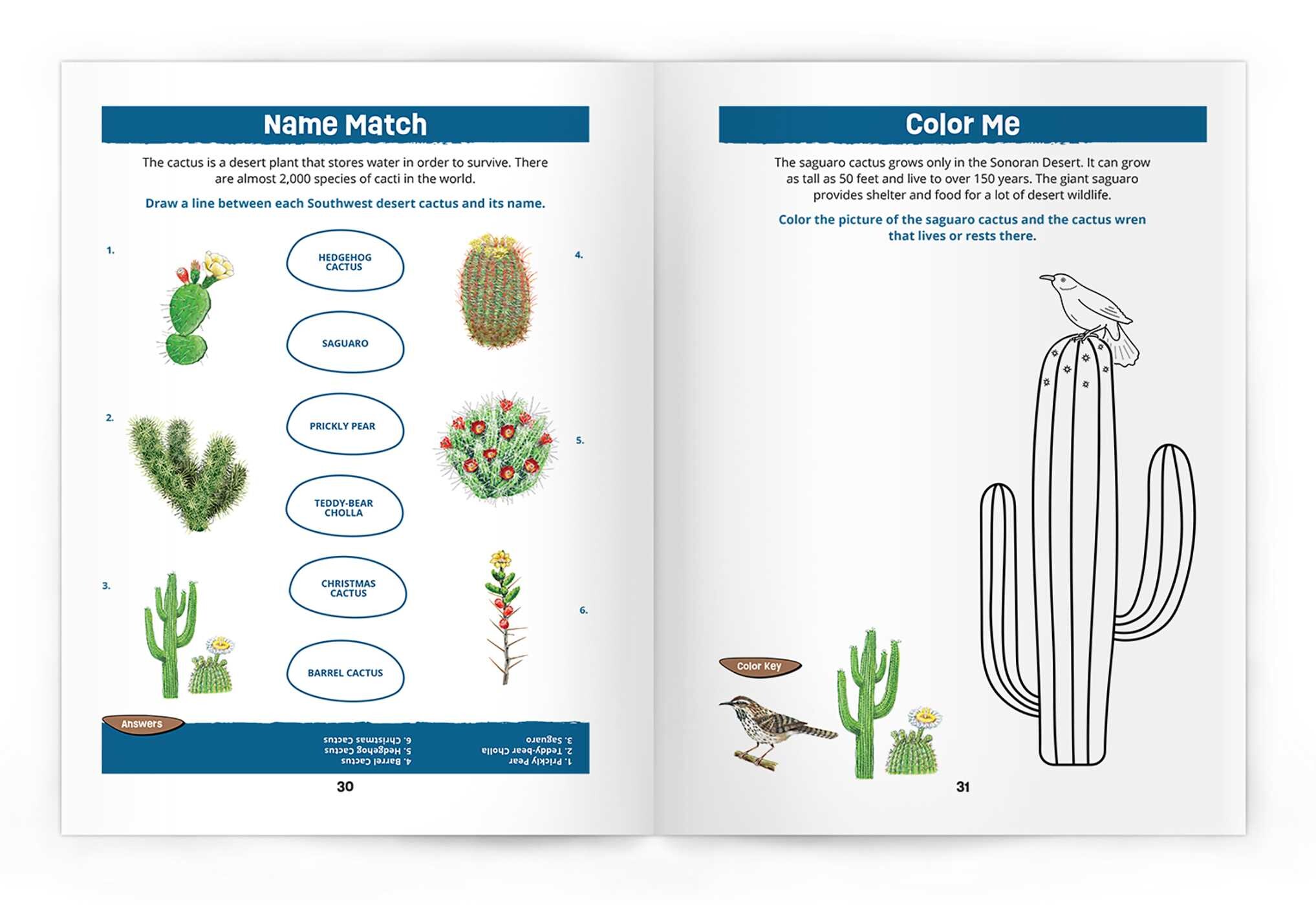 Southwest Desert Wildlife Nature Activity Book, 3rd Ed