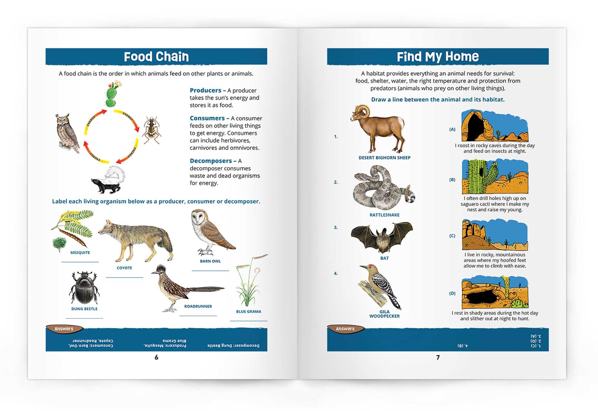 Southwest Desert Wildlife Nature Activity Book, 3rd Ed