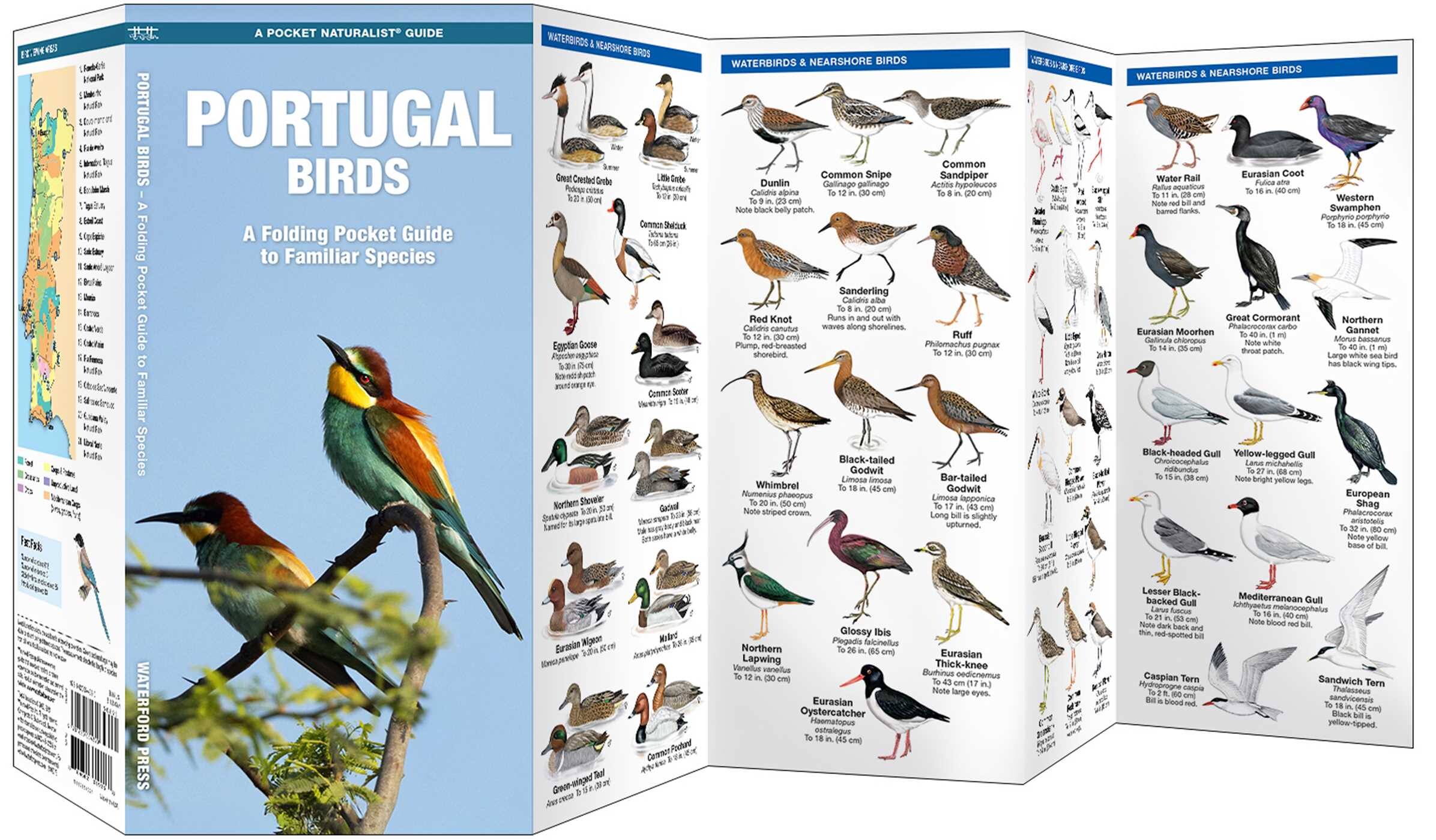 Portugal Birds