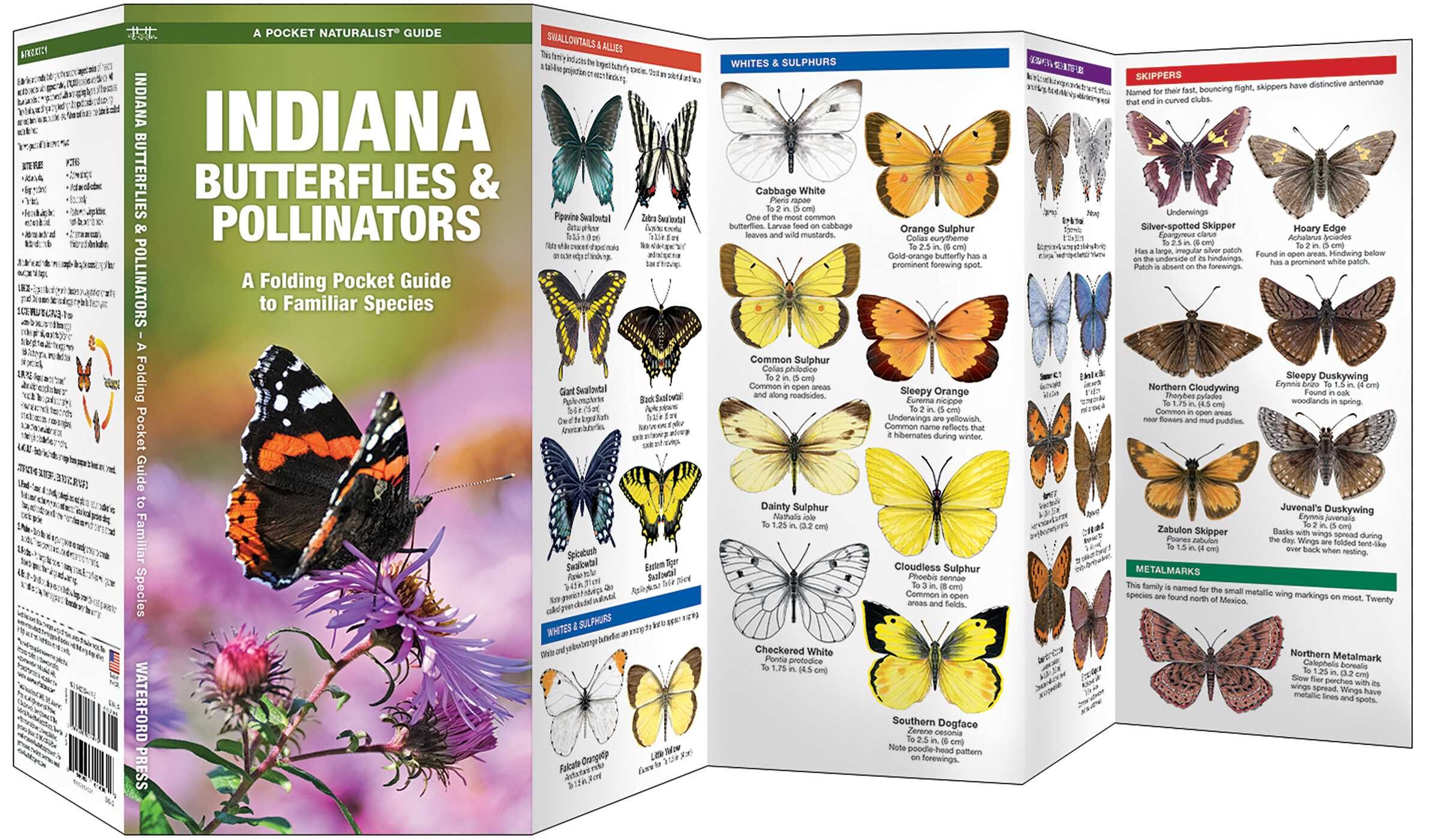 Indiana Butterflies & Pollinators