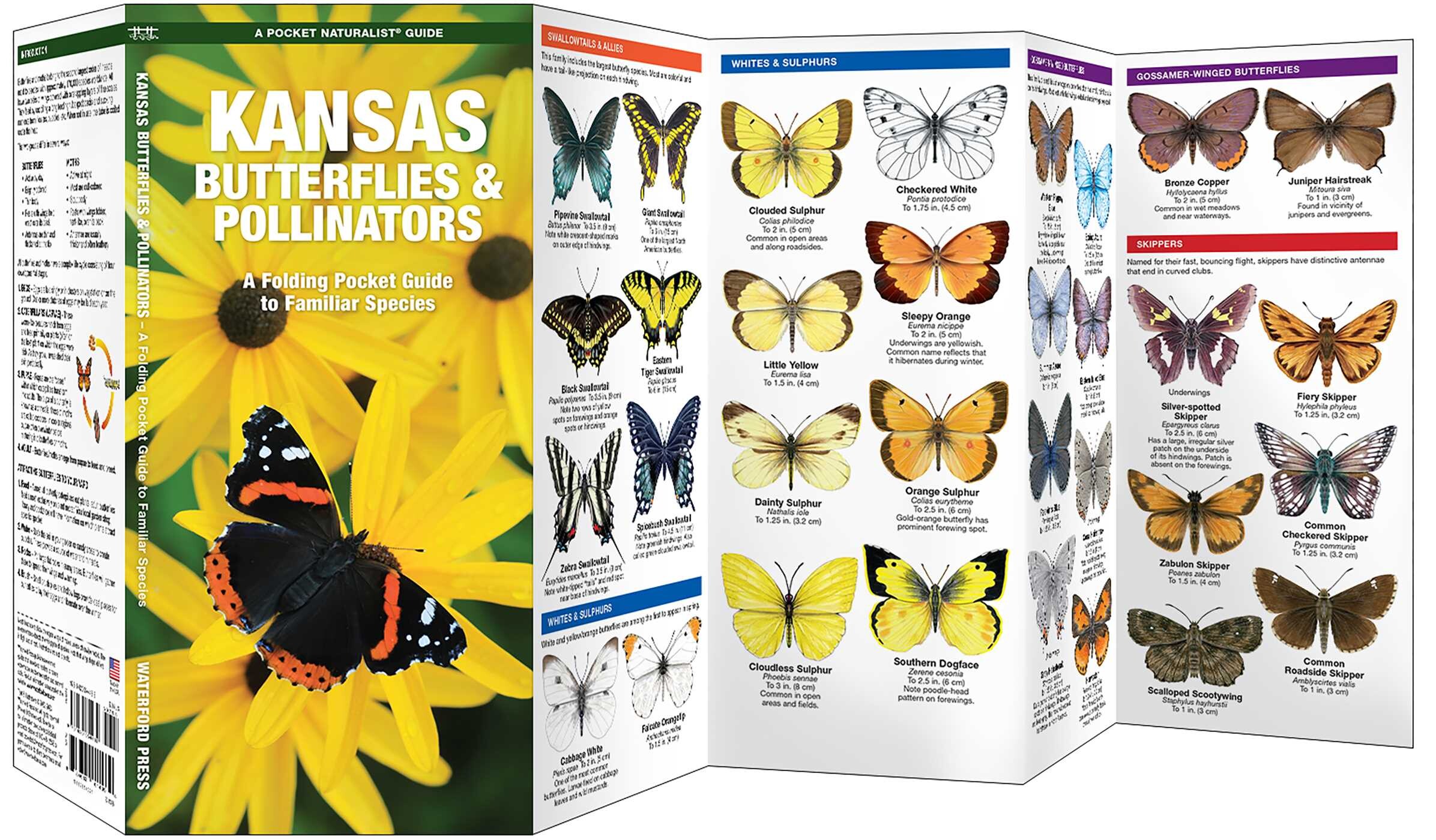 Kansas Butterflies & Pollinators