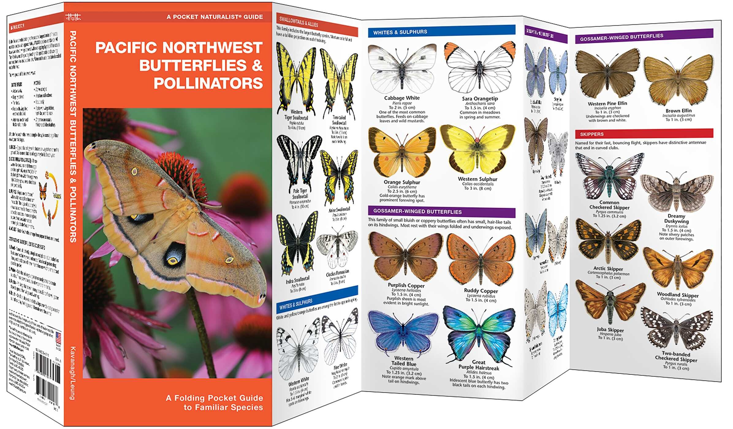 Pacific Northwest Butterflies & Pollinators