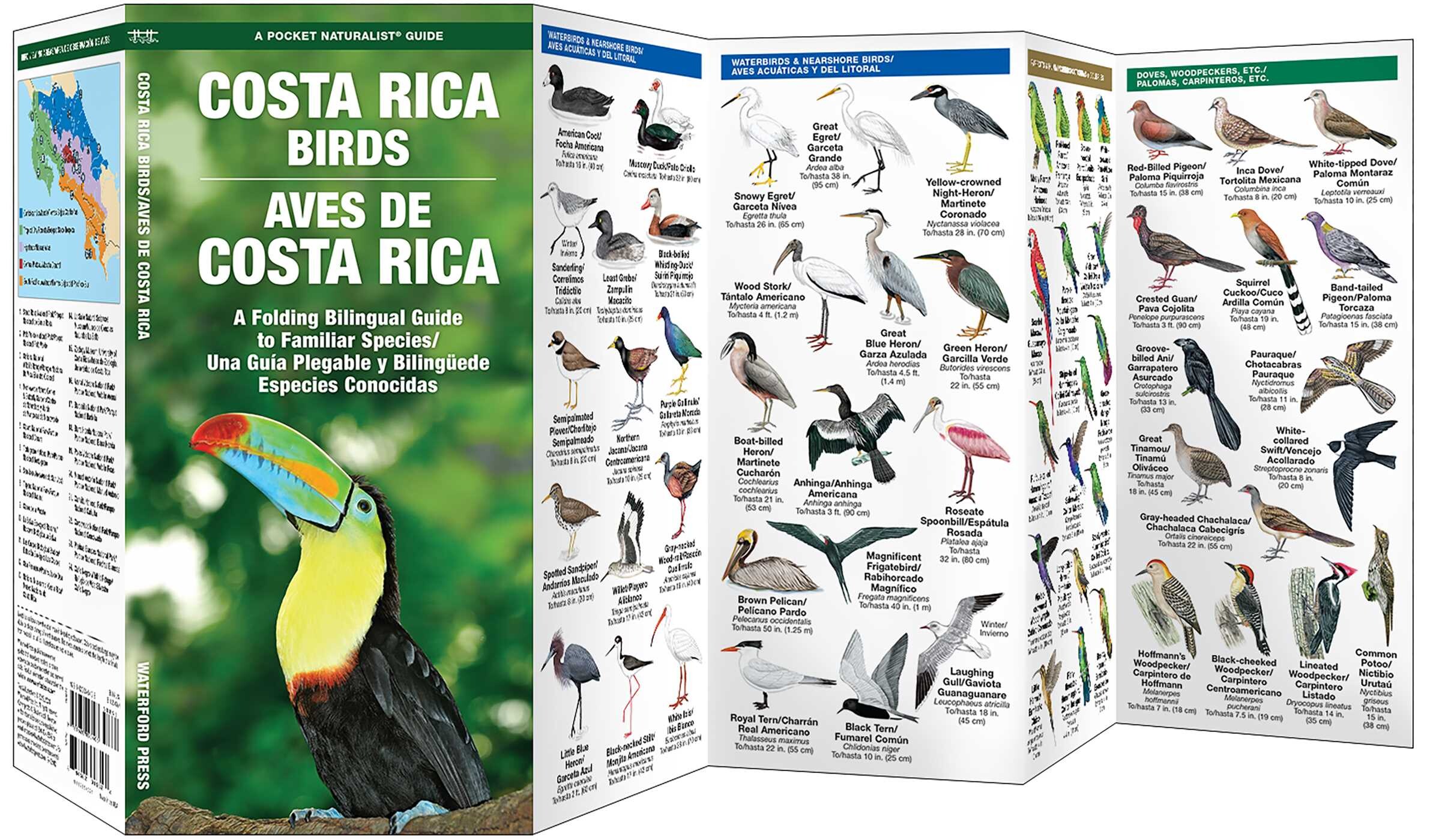 Costa Rica Birds/Aves de Costa Rica