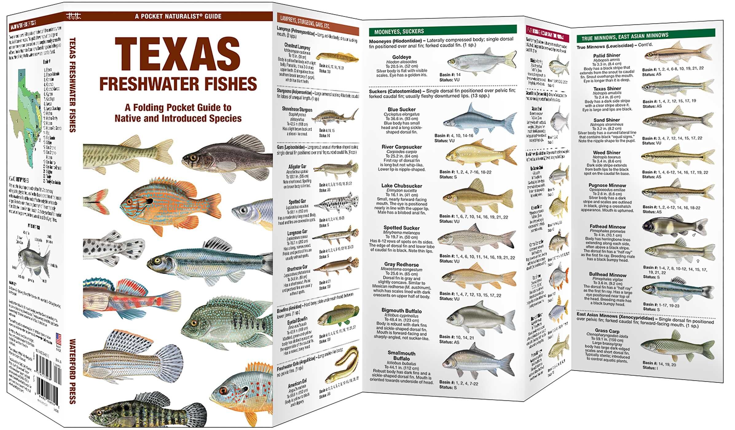Texas Freshwater Fishes