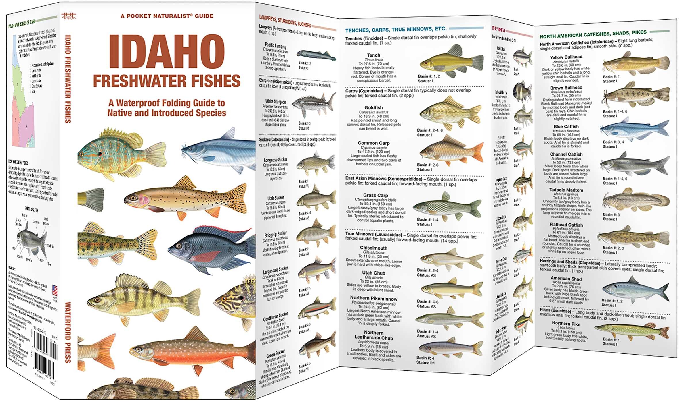 Idaho Freshwater Fishes