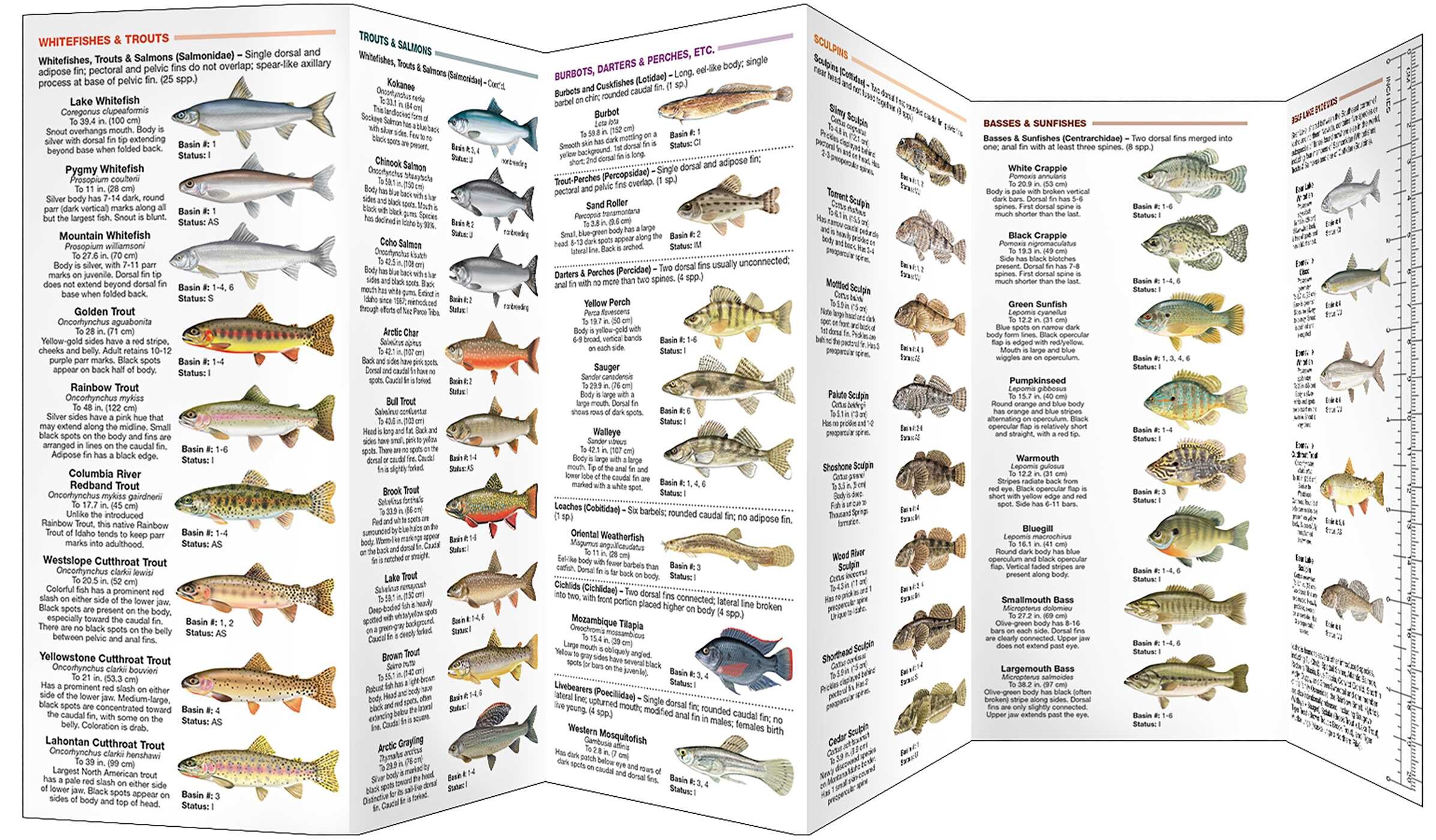 Idaho Freshwater Fishes