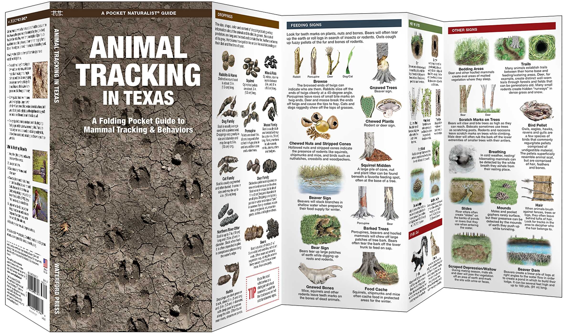 Animal Tracking in Texas