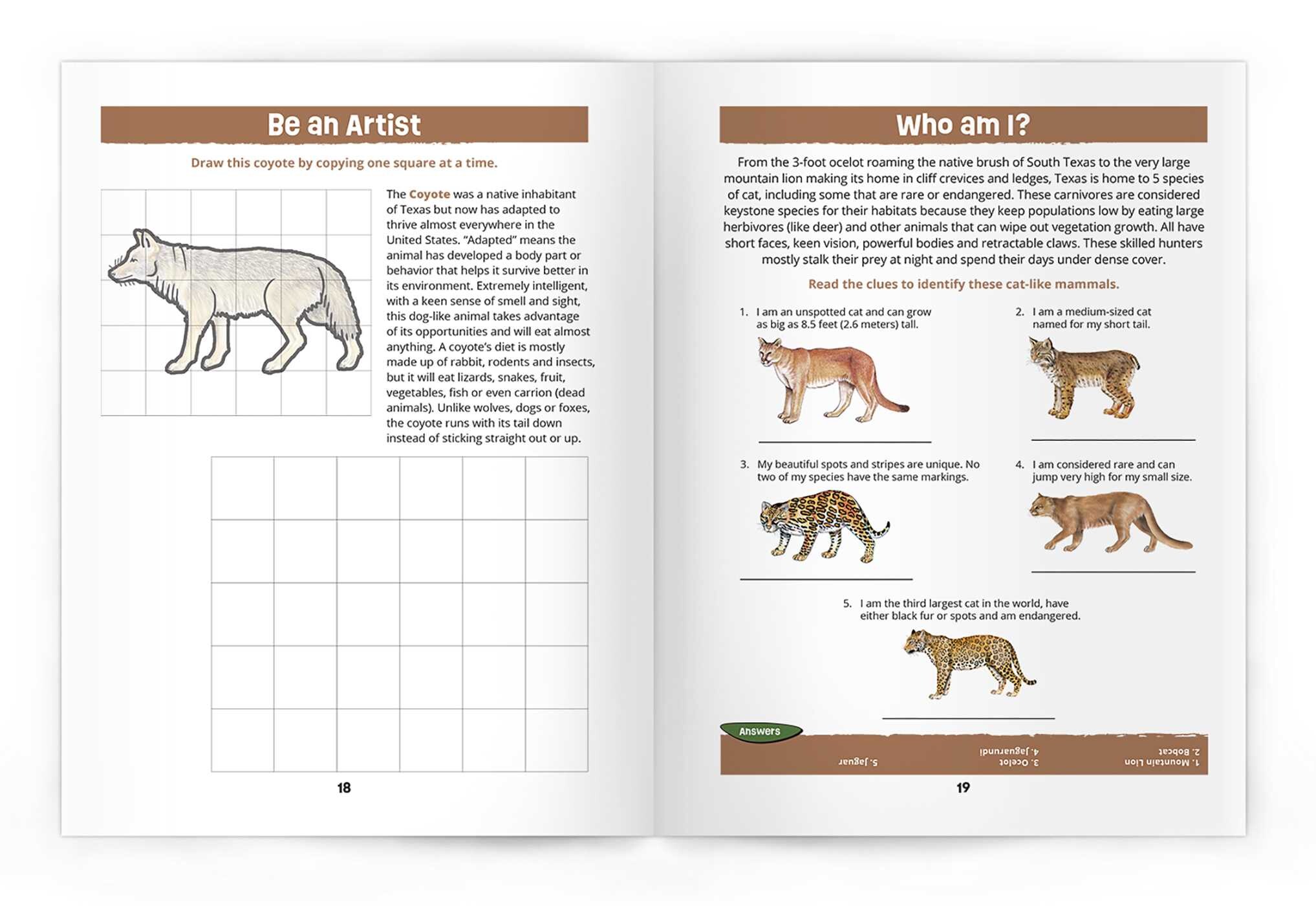 Texas Mammals Nature Activity Book