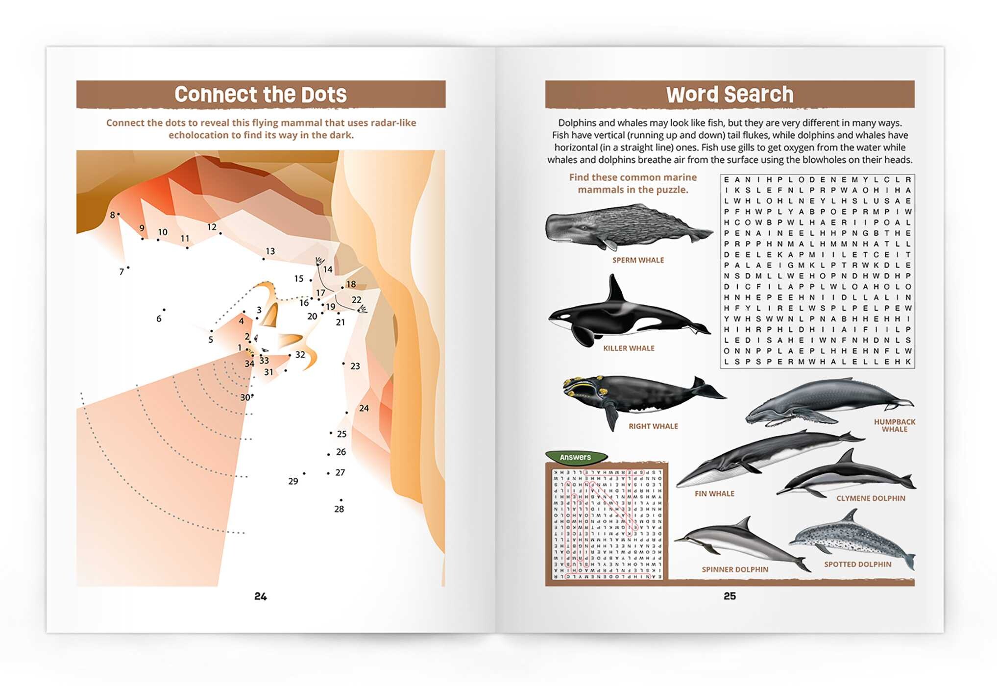 Texas Mammals Nature Activity Book