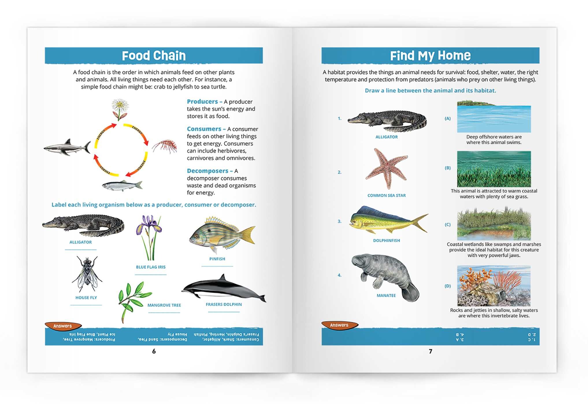 Texas Seashore Life Nature Activity Book