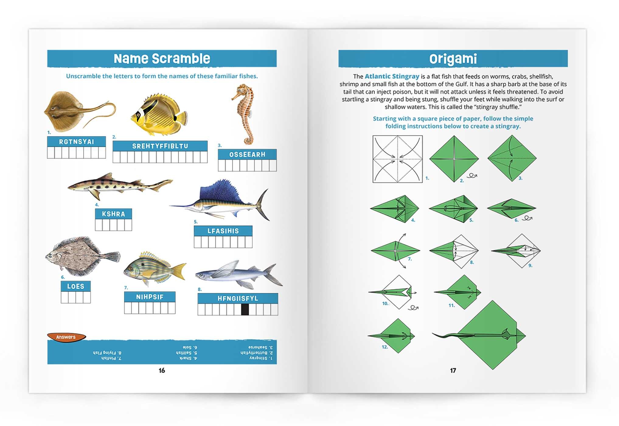 Texas Seashore Life Nature Activity Book
