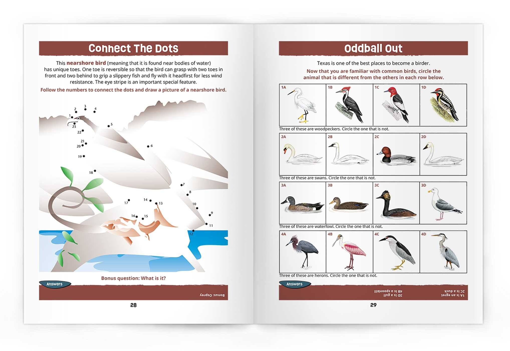 Texas Birds Nature Activity Book