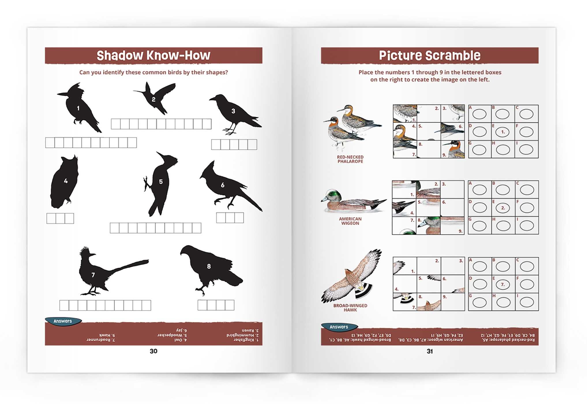 Texas Birds Nature Activity Book