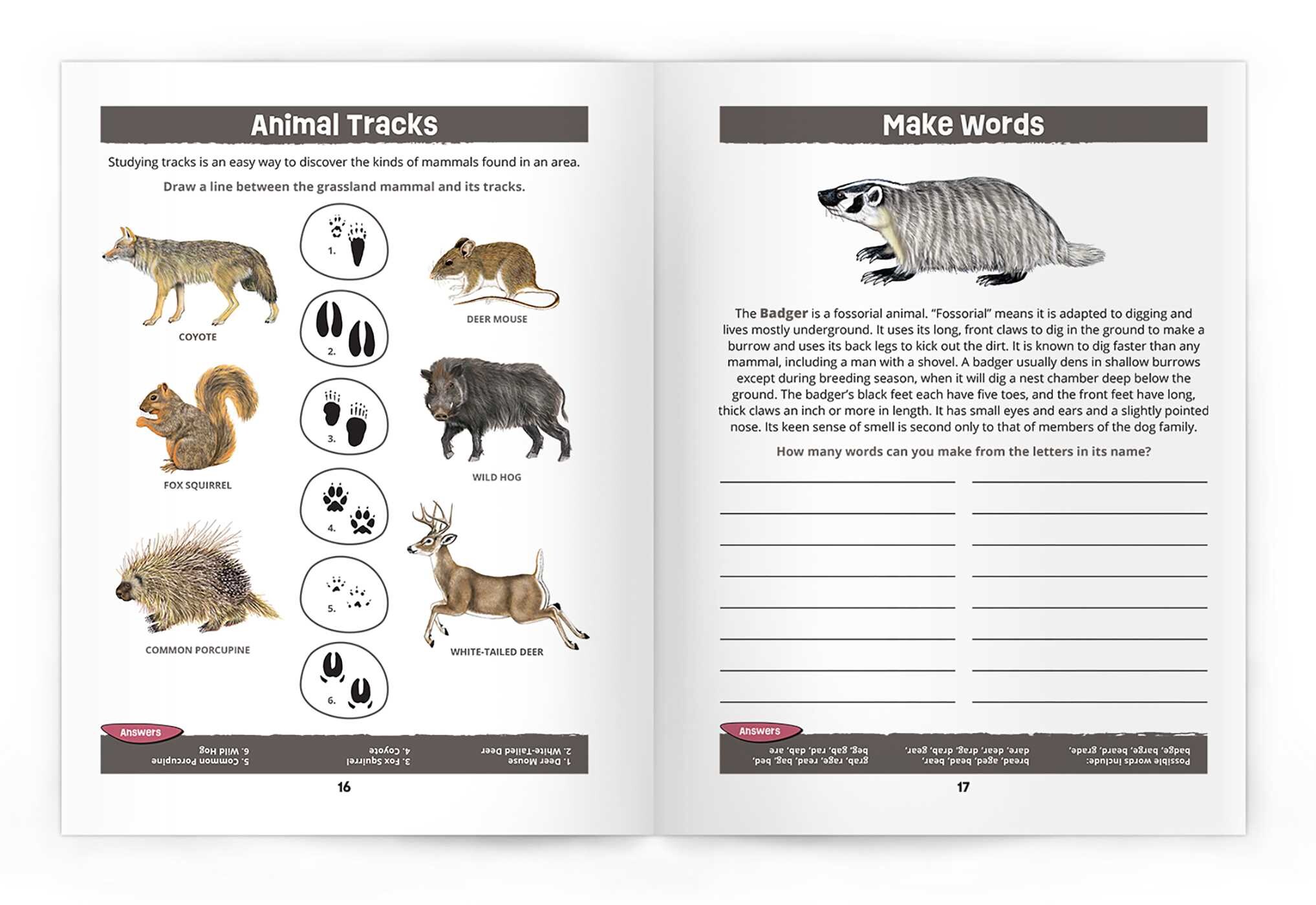 Texas Grasslands Nature Activity Book