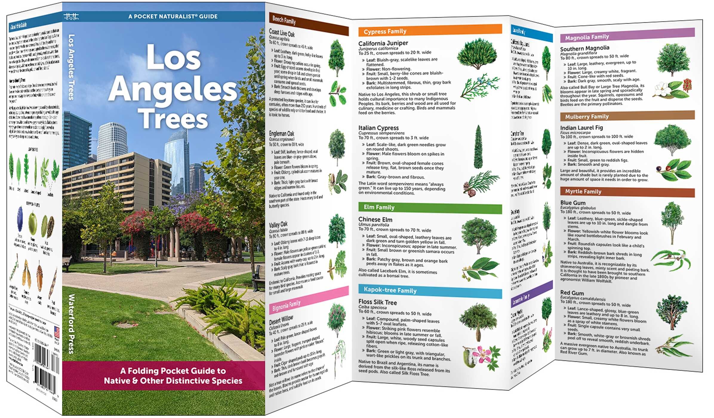 Los Angeles Trees