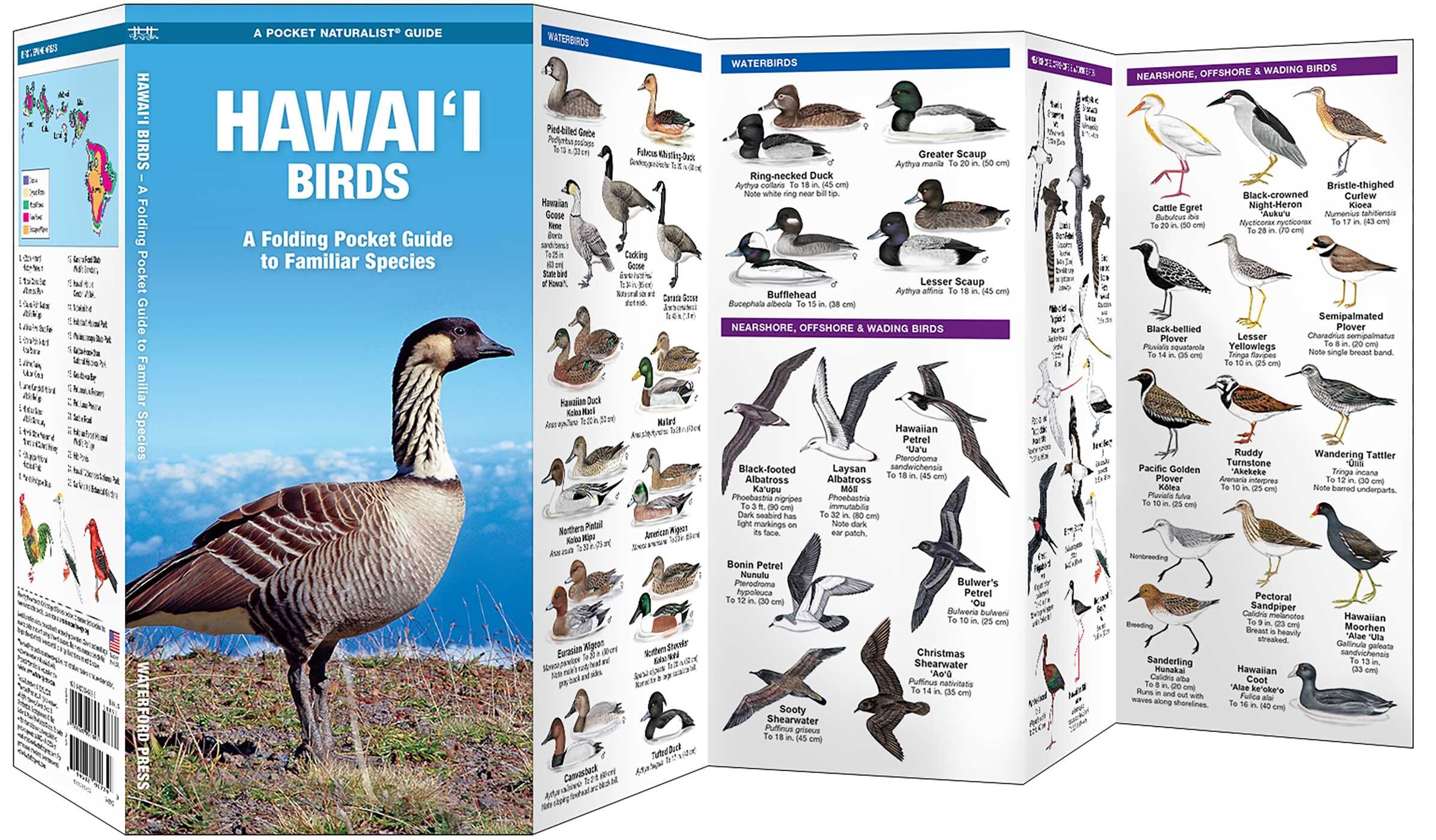 Hawai'i Birds