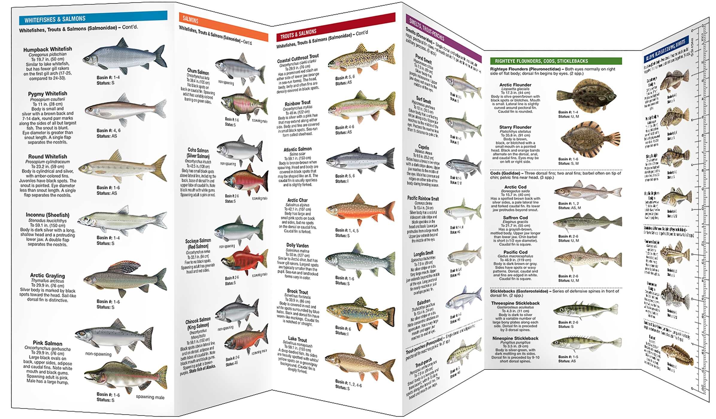 Alaska Freshwater Fishes