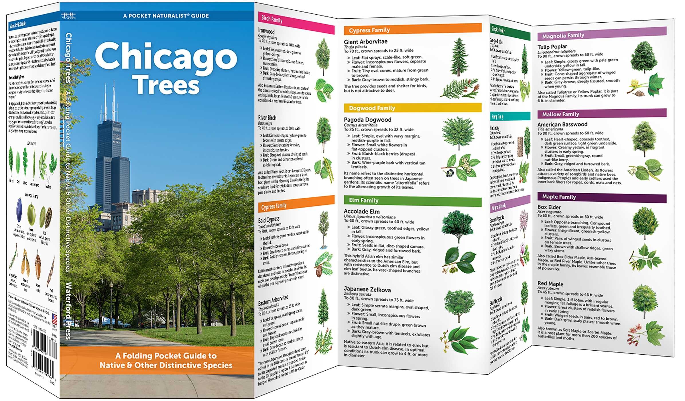 Chicago Trees