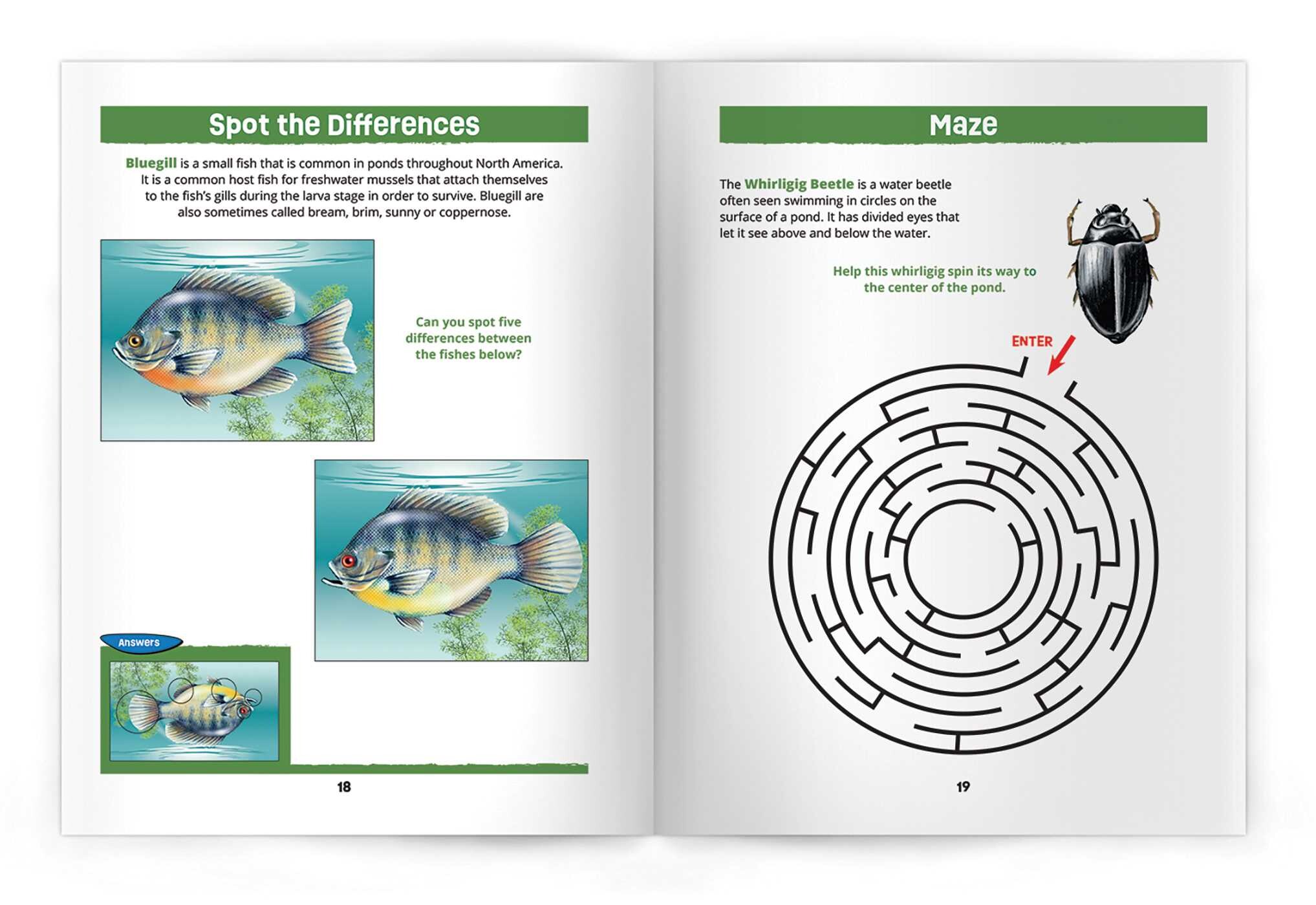 Pond Life Nature Activity Book, 3rd Ed