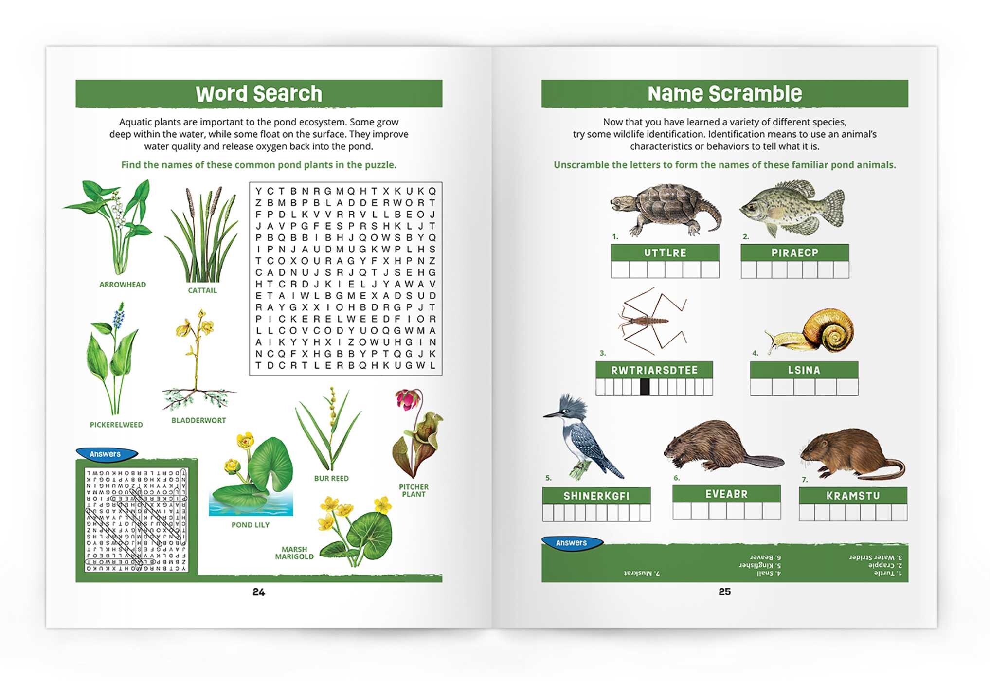 Pond Life Nature Activity Book, 3rd Ed