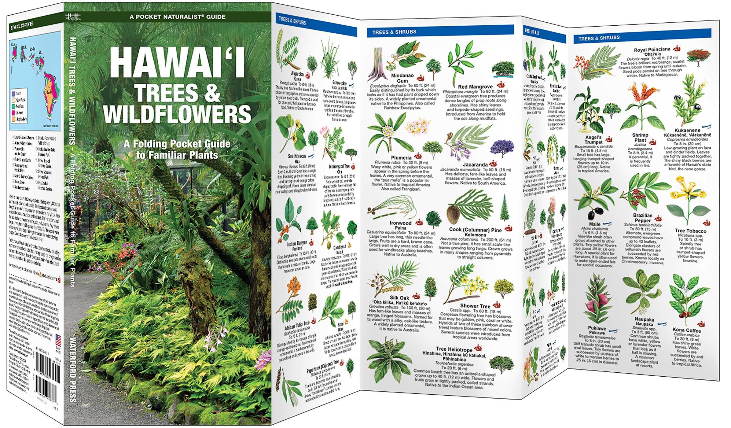 Hawai'i Trees & Wildflowers