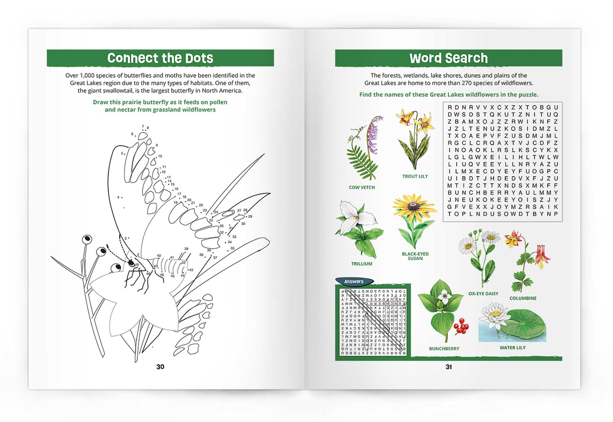 Great Lakes Wildlife Nature Activity Book, 3rd Ed