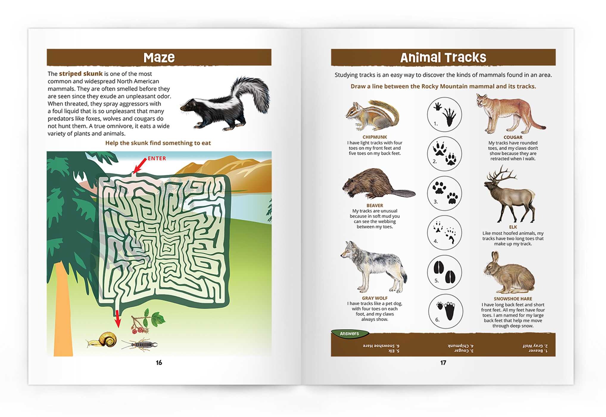 Rocky Mountain Wildlife Nature Activity Book, 3rd Ed