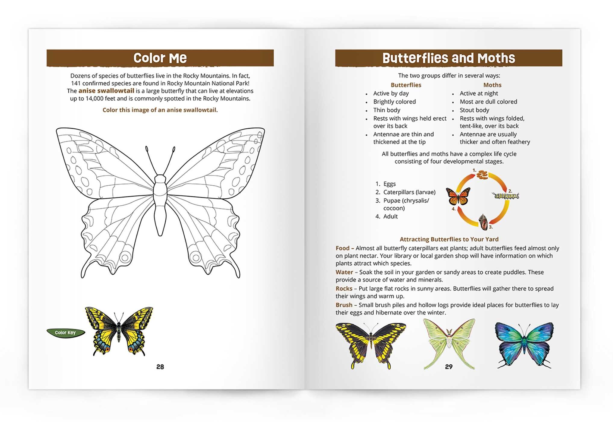 Rocky Mountain Wildlife Nature Activity Book, 3rd Ed