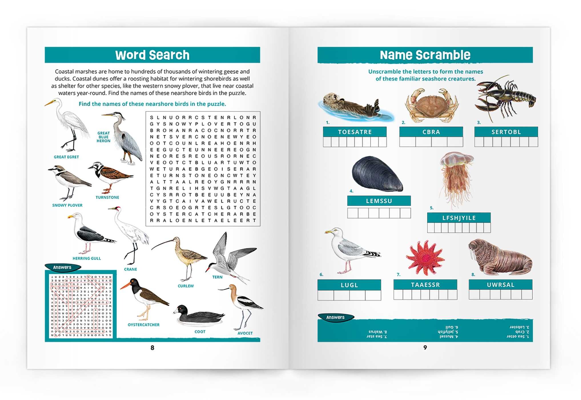 Seashore Wildlife Nature Activity Book, 3rd Ed
