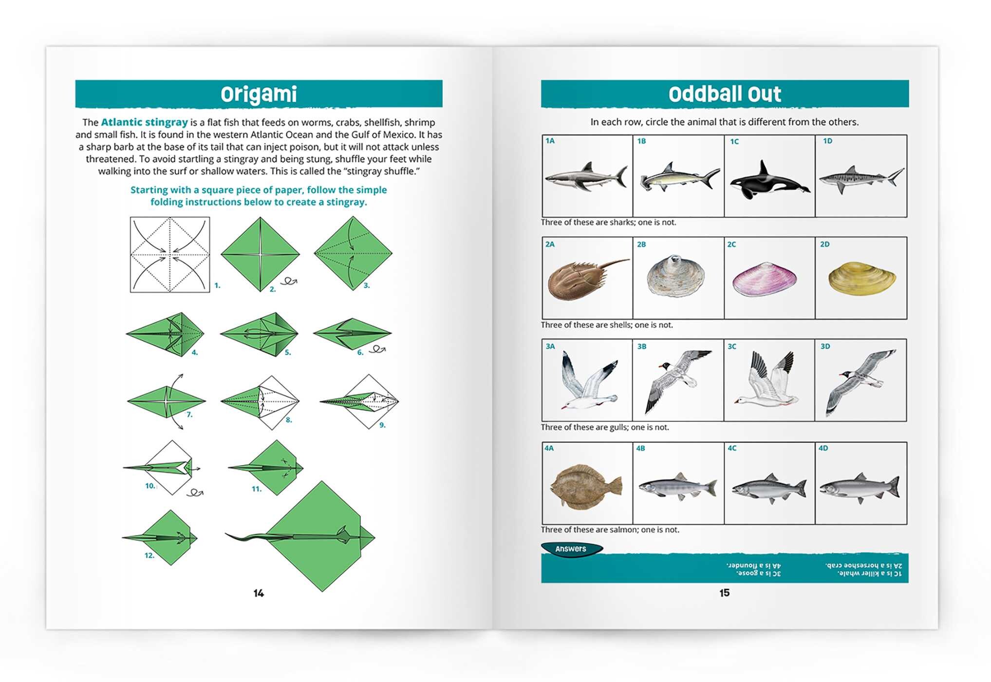 Seashore Wildlife Nature Activity Book, 3rd Ed