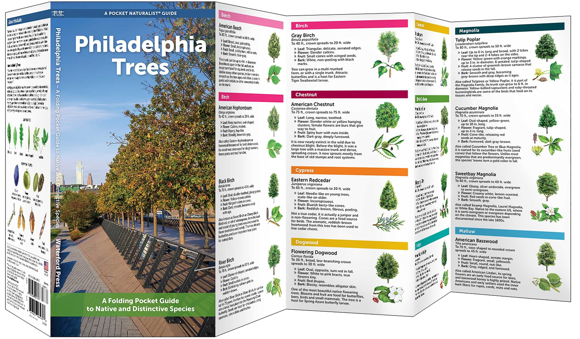 Philadelphia Trees