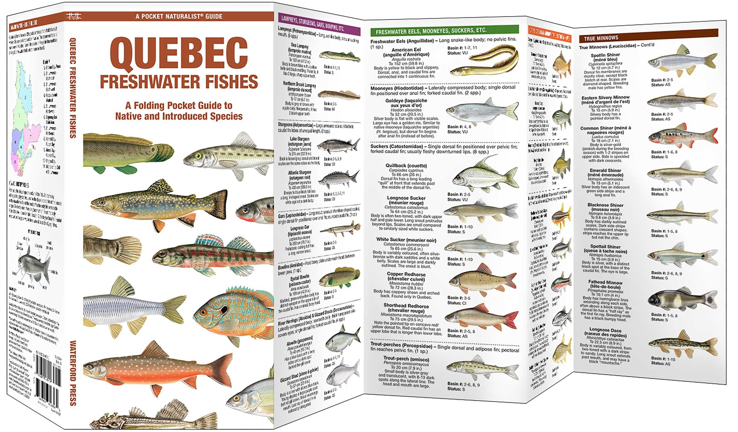 Quebec Freshwater Fishes