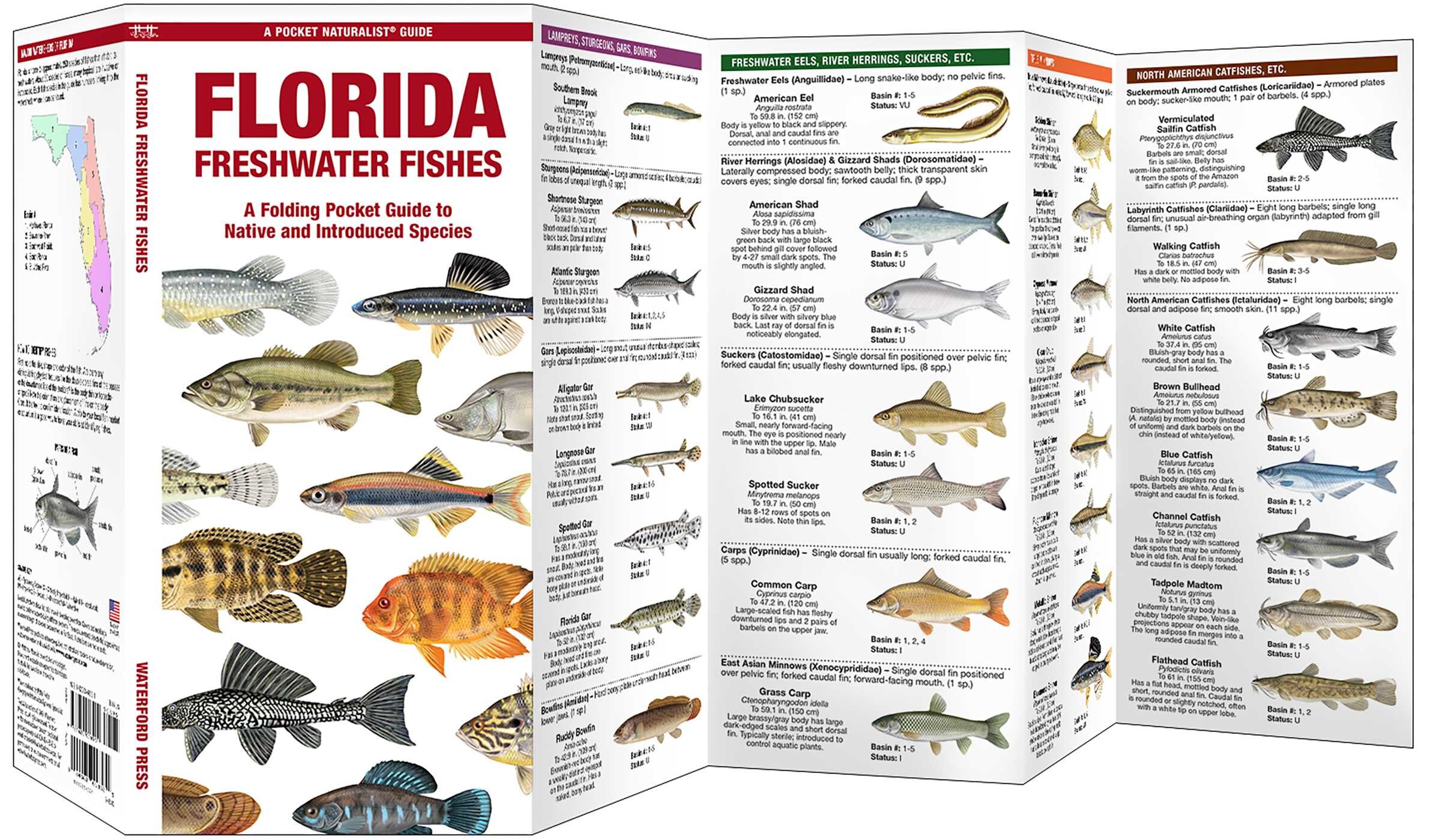 Florida Freshwater Fishes