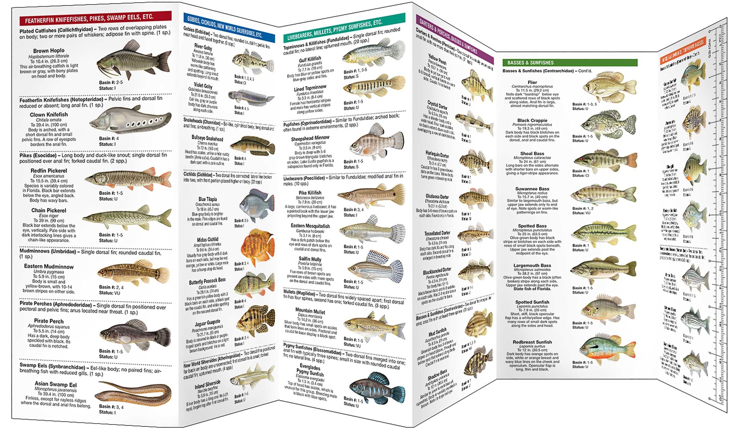 Florida Freshwater Fishes